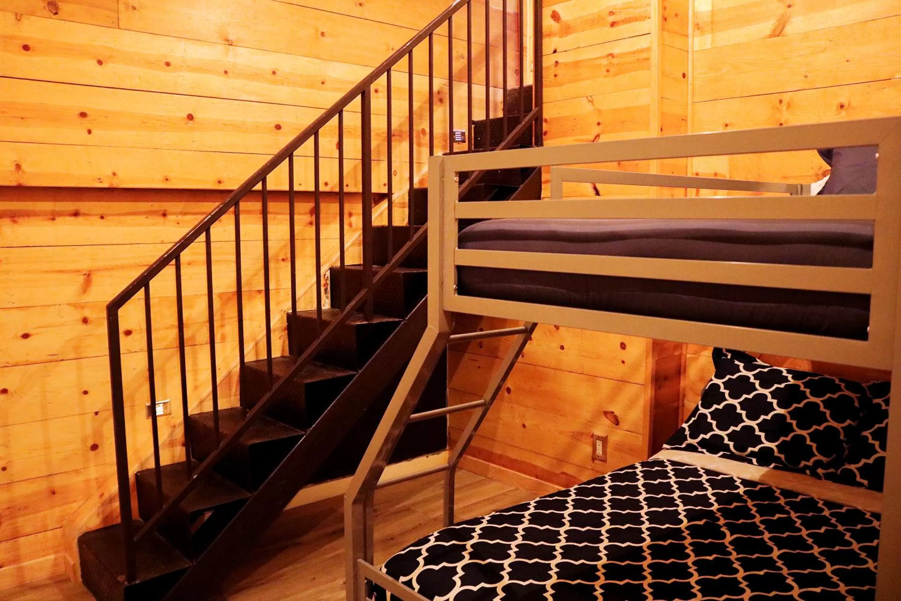 Bunk Bed in The Haas Suites