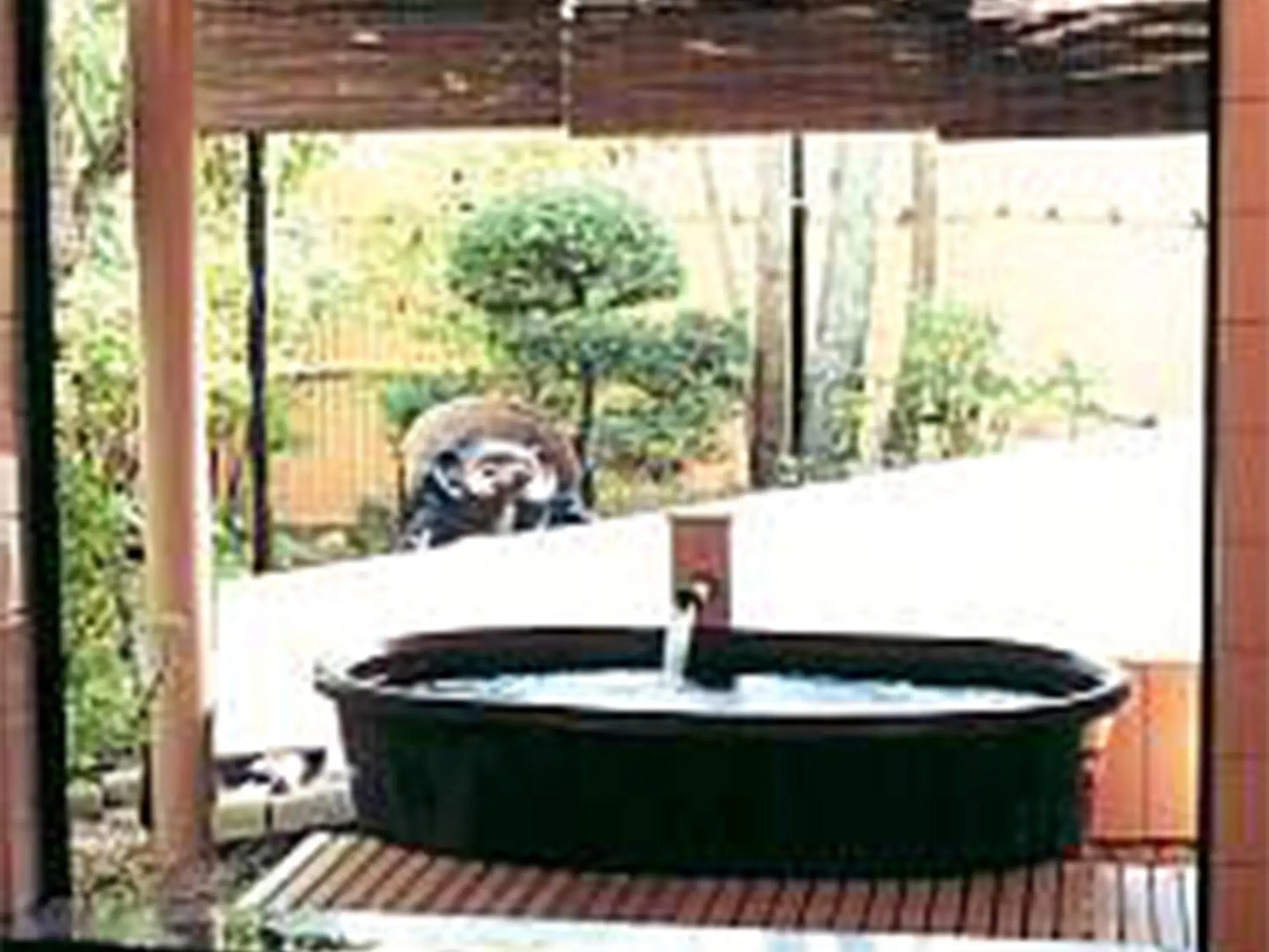 Open Air Bath in Oyado Hachibei