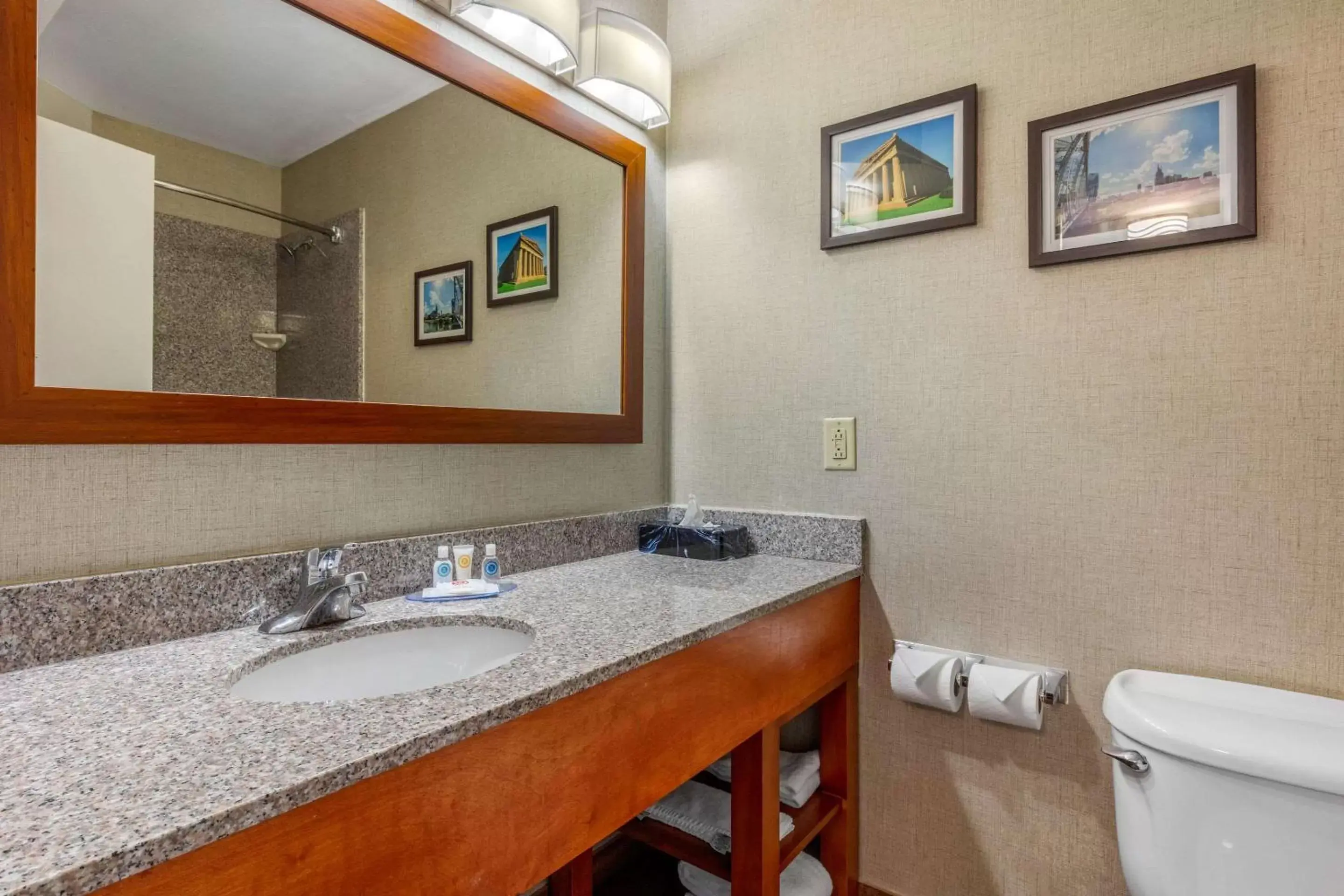 Photo of the whole room, Bathroom in Comfort Inn & Suites Nashville-Antioch