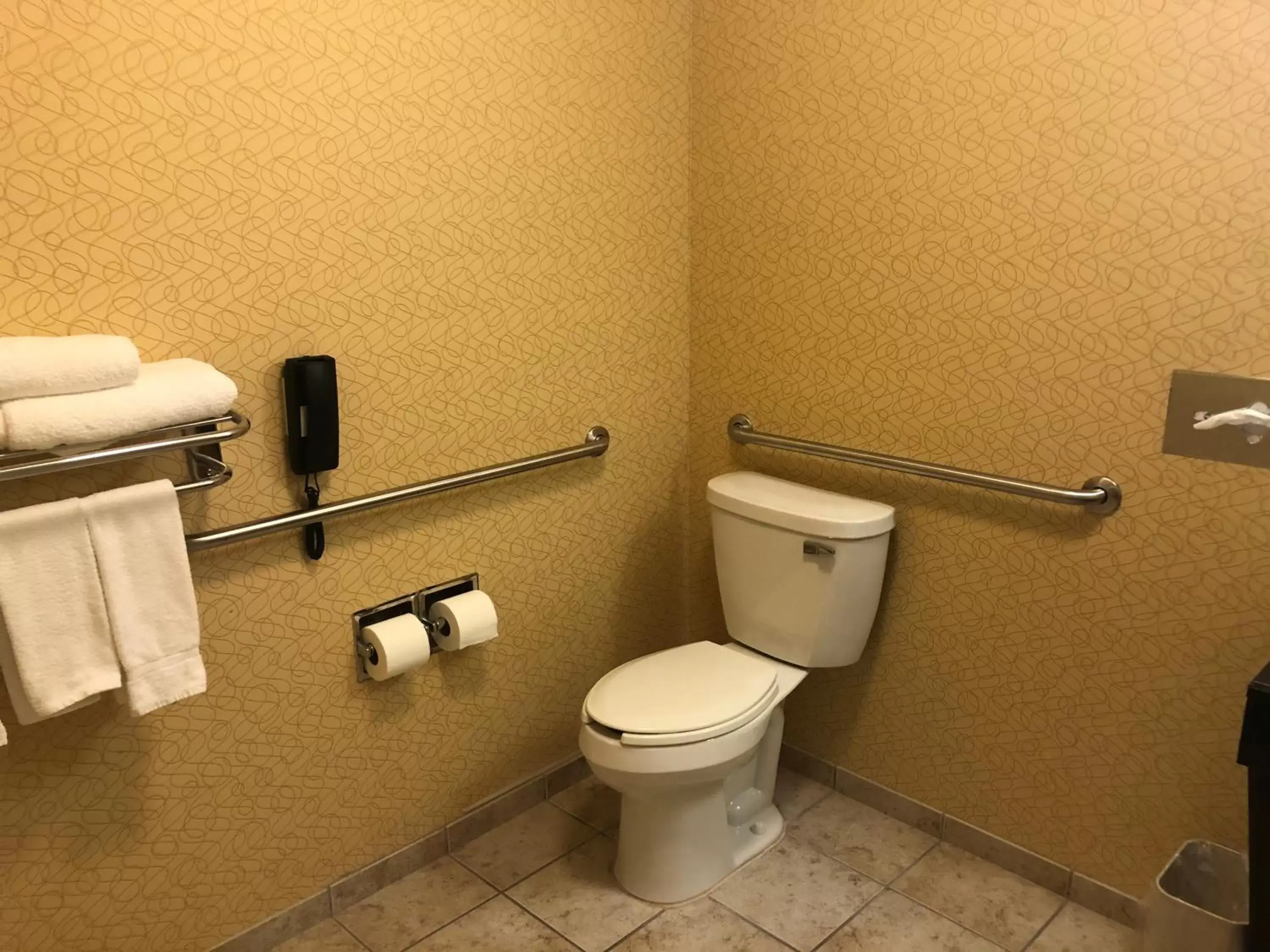 Toilet, Bathroom in Holiday Inn Express Hotel & Suites Lansing-Dimondale, an IHG Hotel