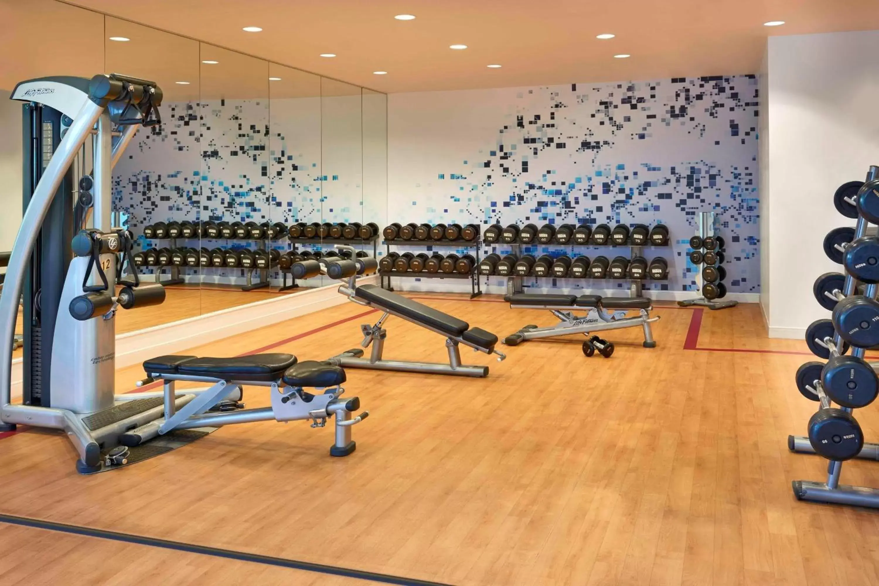 Fitness centre/facilities, Fitness Center/Facilities in Sheraton Centre Toronto Hotel