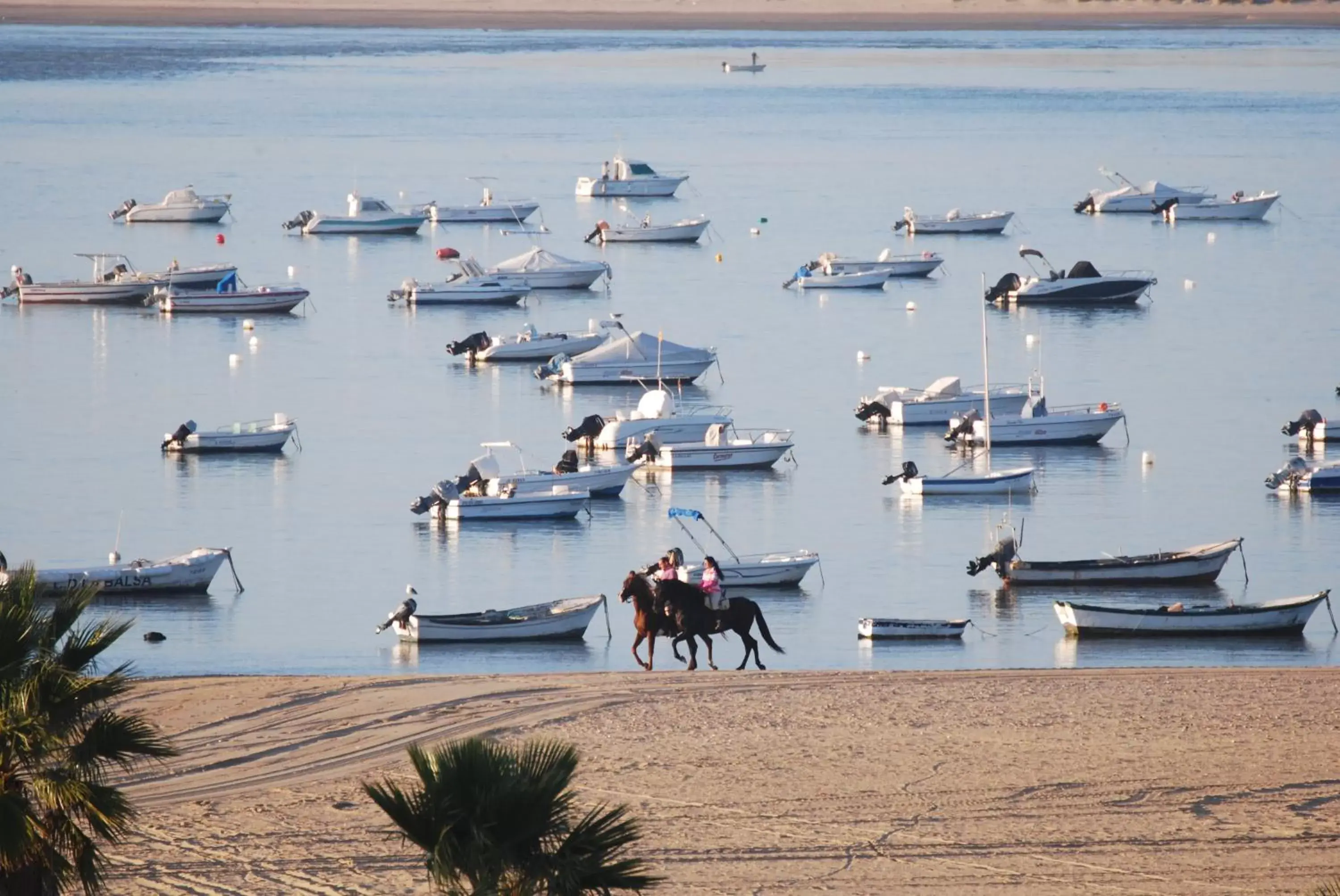 Activities in Albariza Hotel Boutique