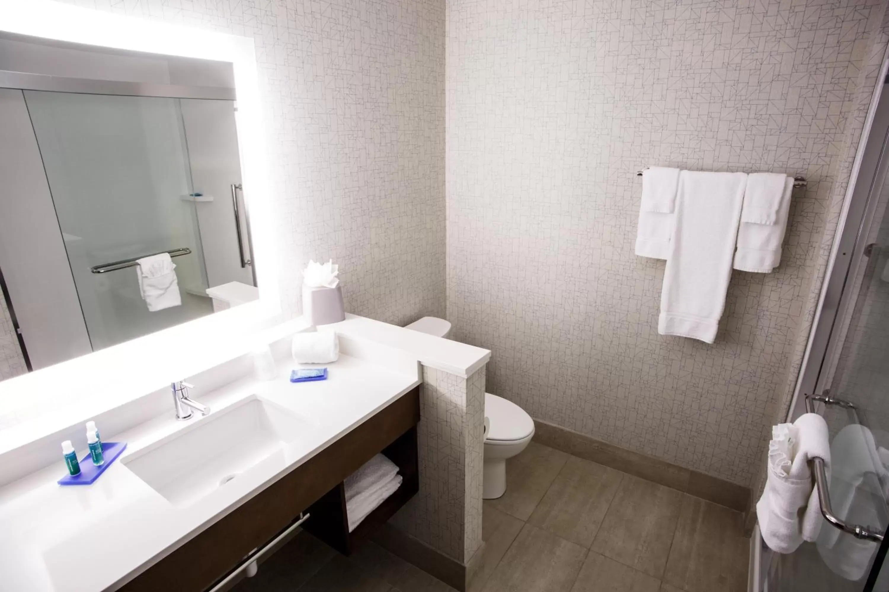 Bathroom in Holiday Inn Express & Suites - Gettysburg, an IHG Hotel