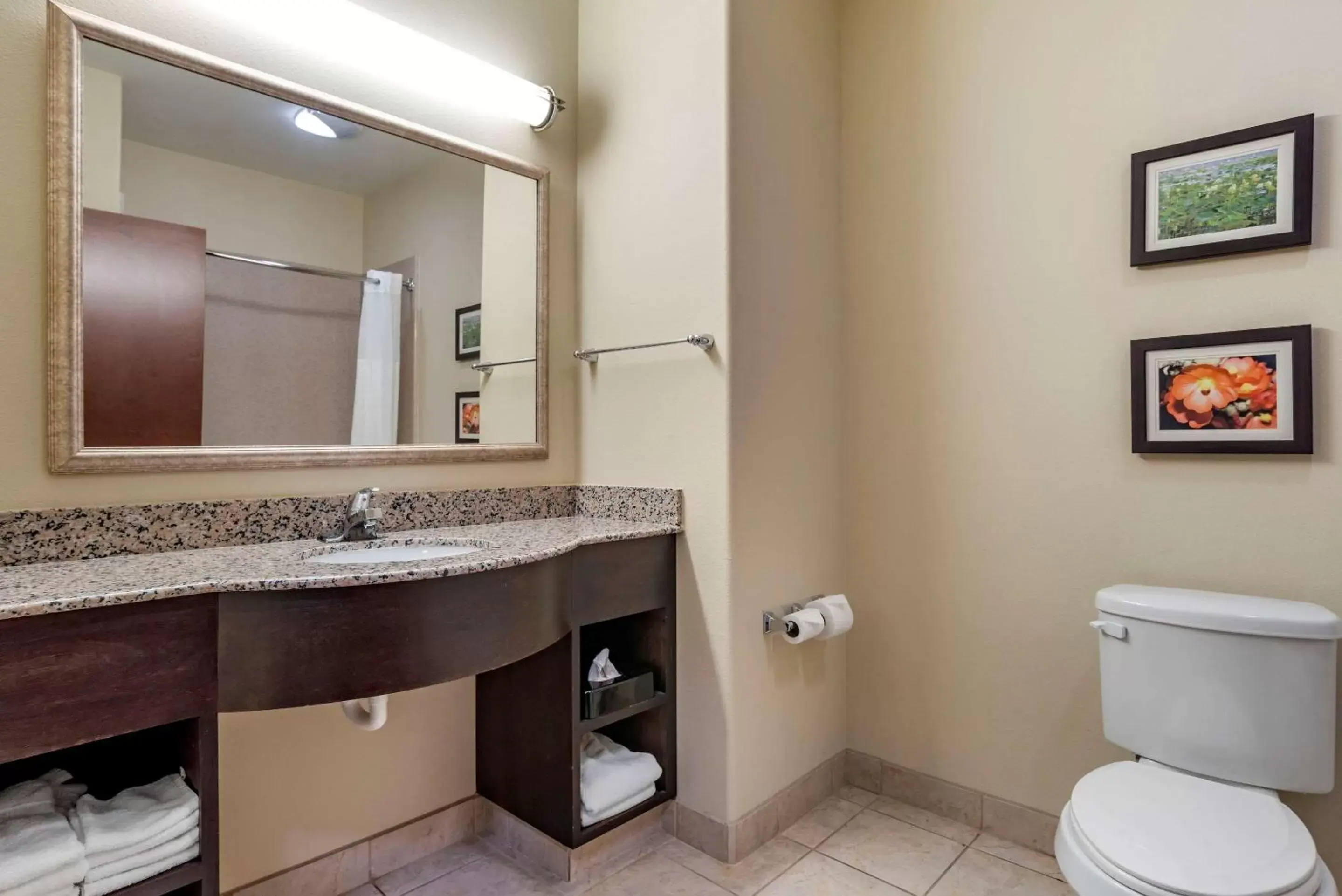 Bathroom in Comfort Inn & Suites Scott - West Lafayette