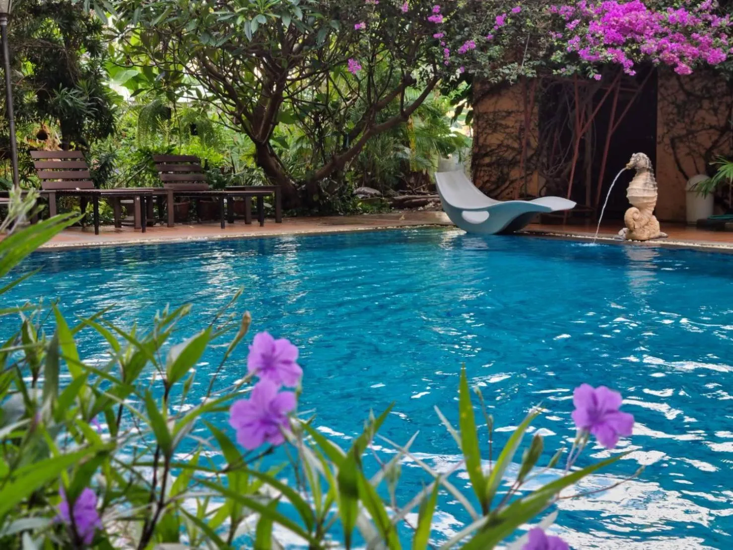 Swimming pool in Opey De Place