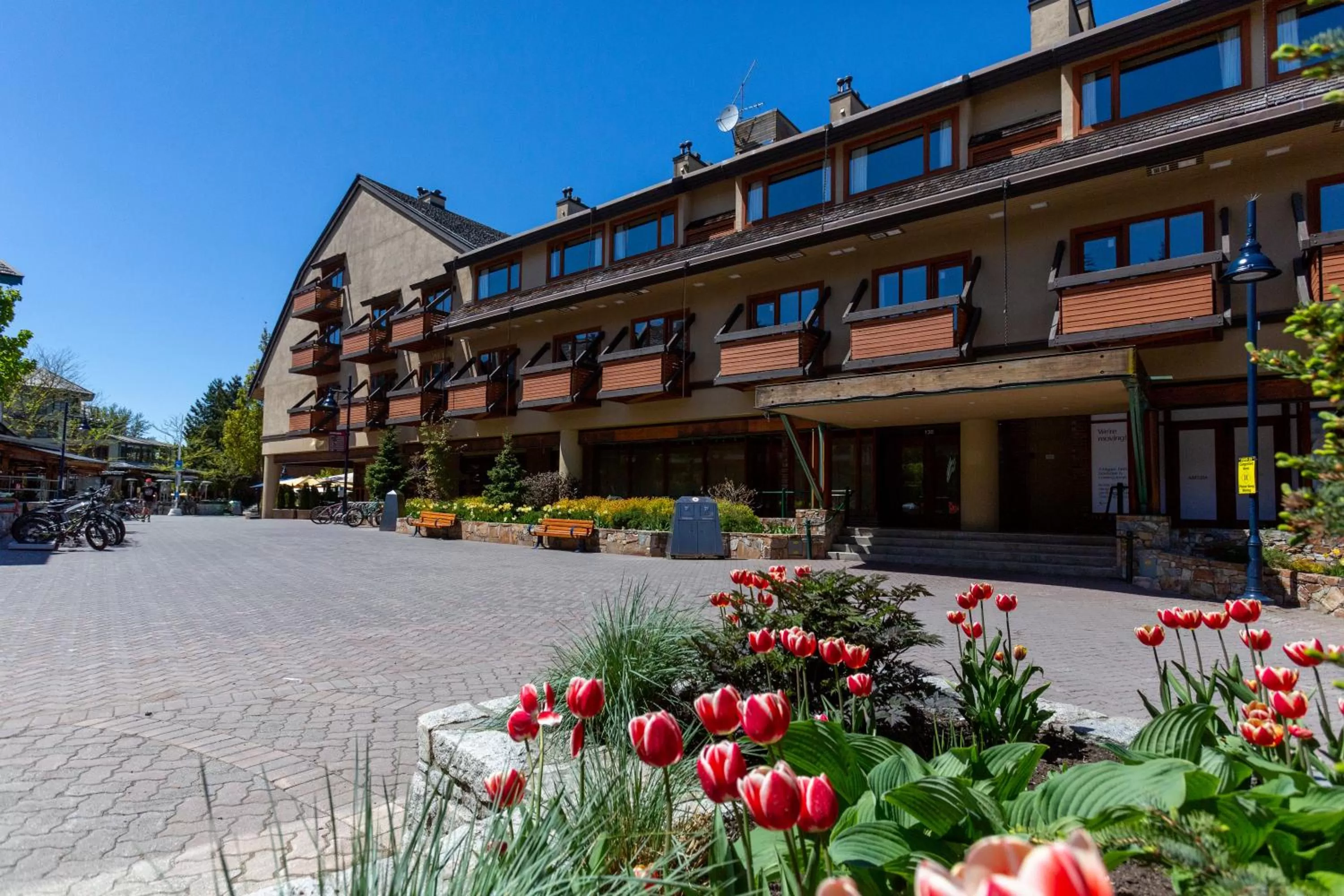 Property building in Blackcomb Lodge