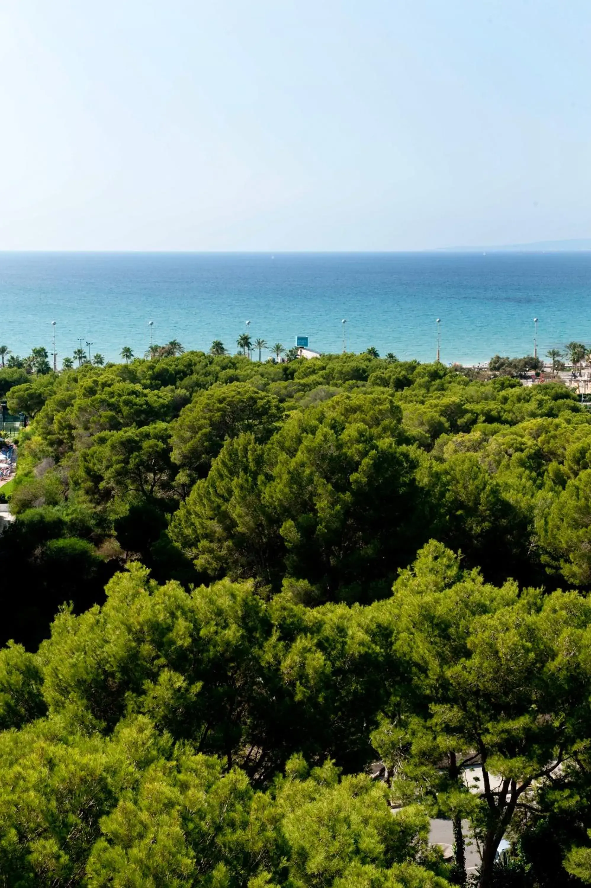 Area and facilities, Bird's-eye View in Grupotel Taurus Park