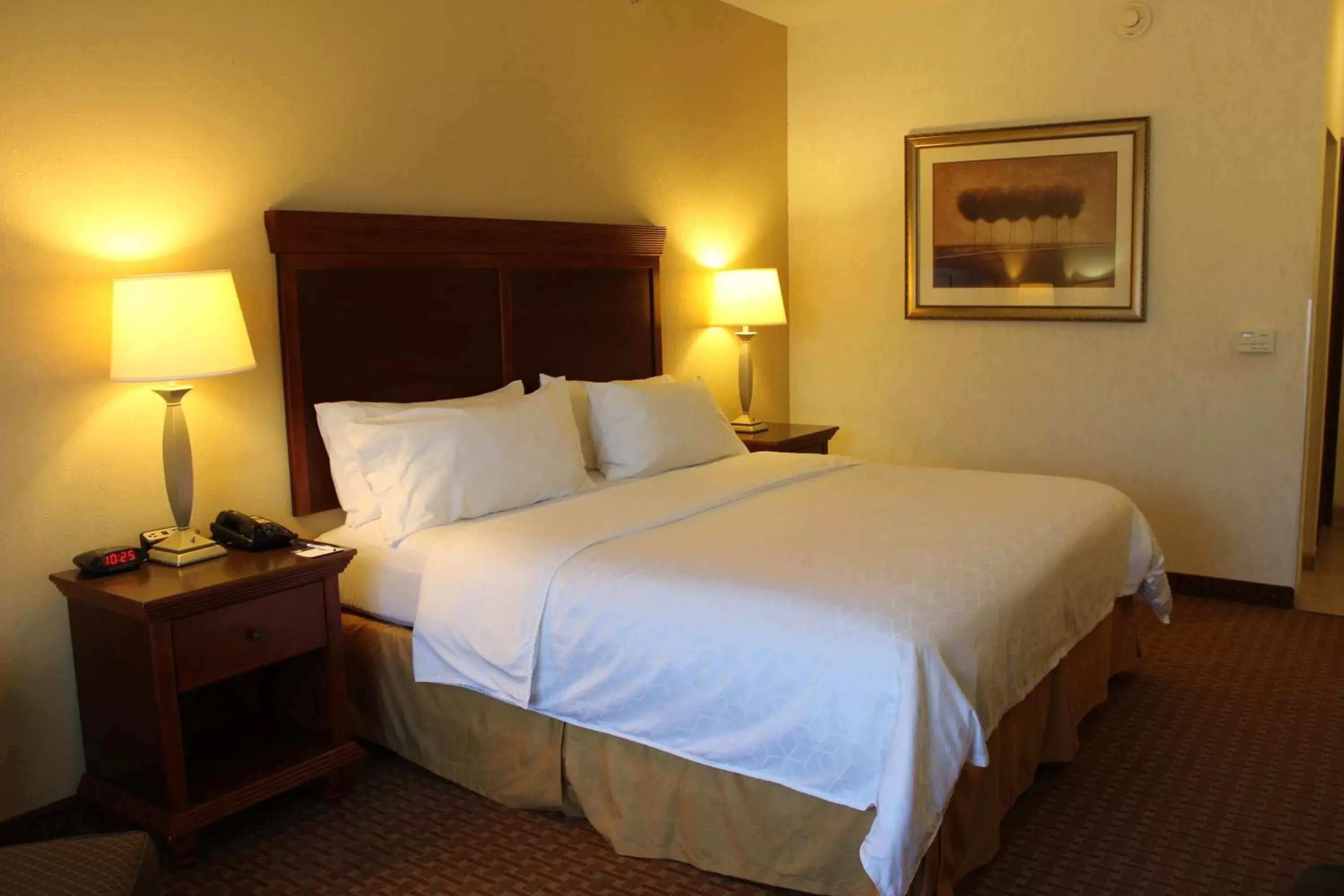 Photo of the whole room, Bed in Holiday Inn Express Hotel & Suites Center, an IHG Hotel