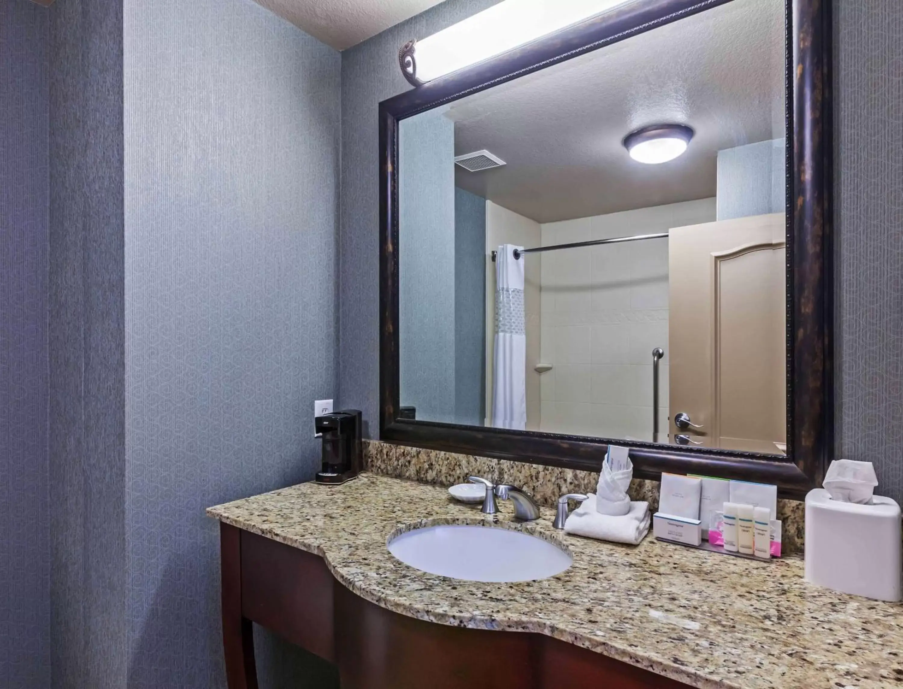 Bathroom in Hampton Inn and Suites Lake Jackson-Clute