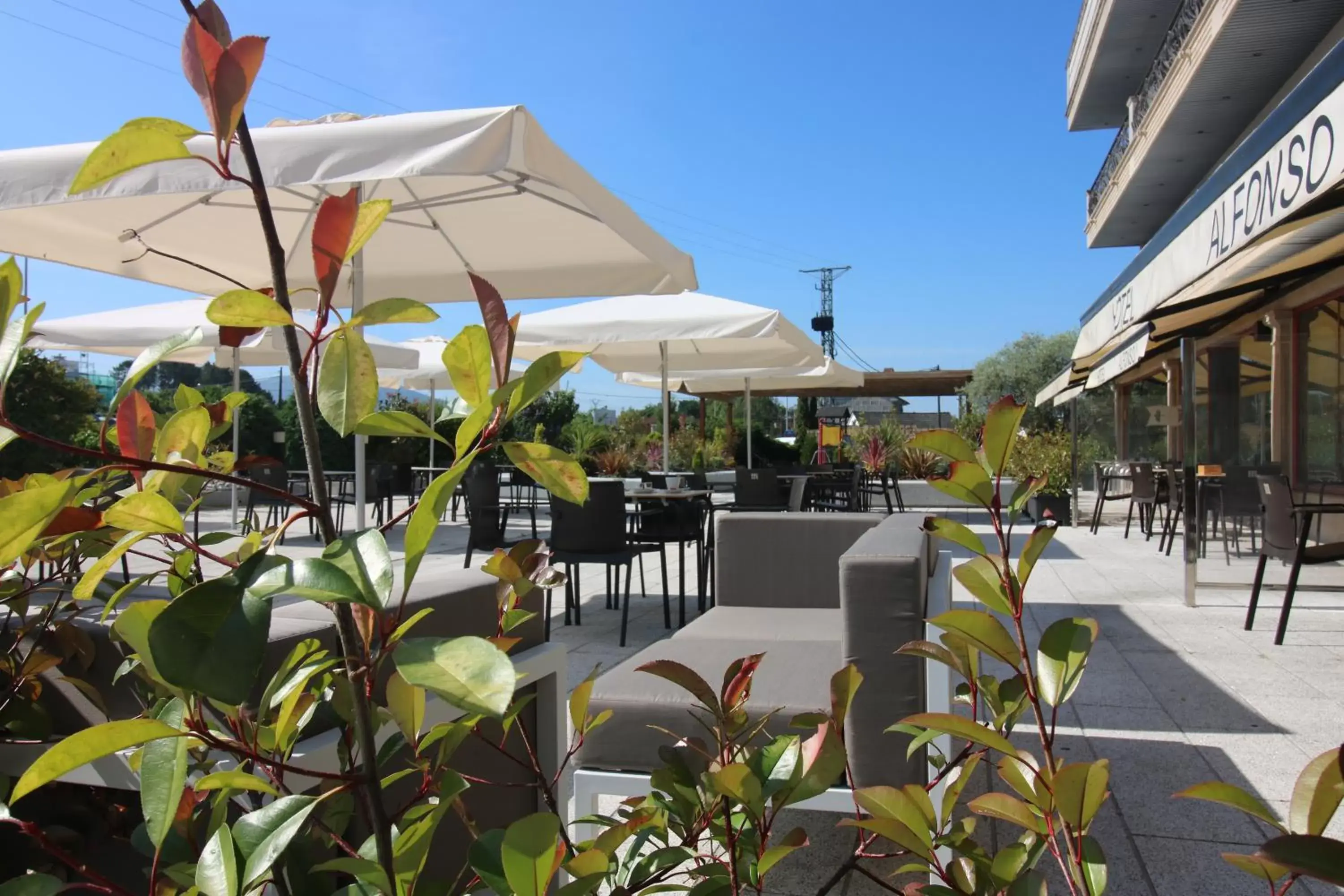 Patio, Restaurant/Places to Eat in Hotel Alfonso I