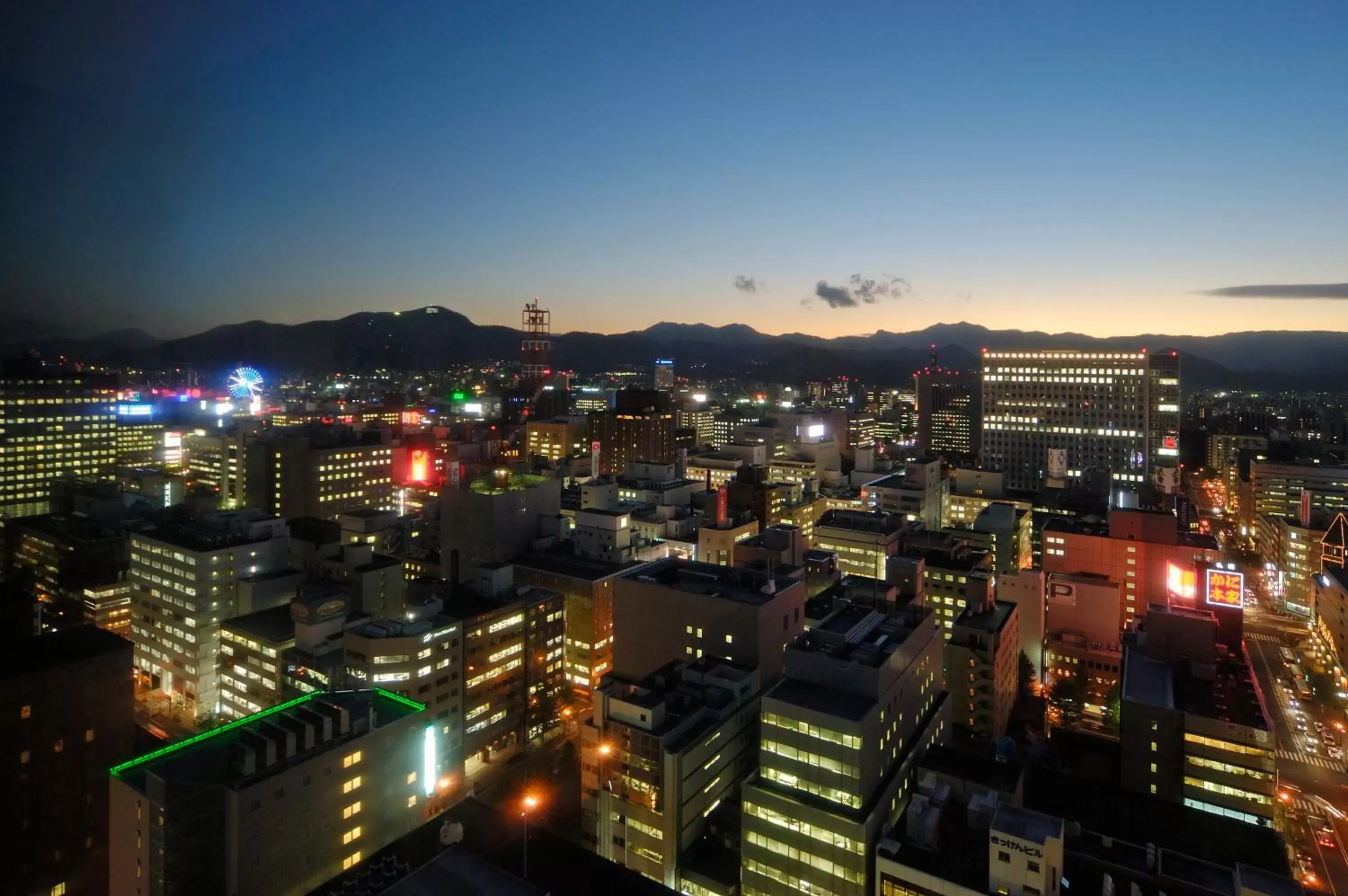 Other, City View in ANA Crowne Plaza Sapporo, an IHG Hotel