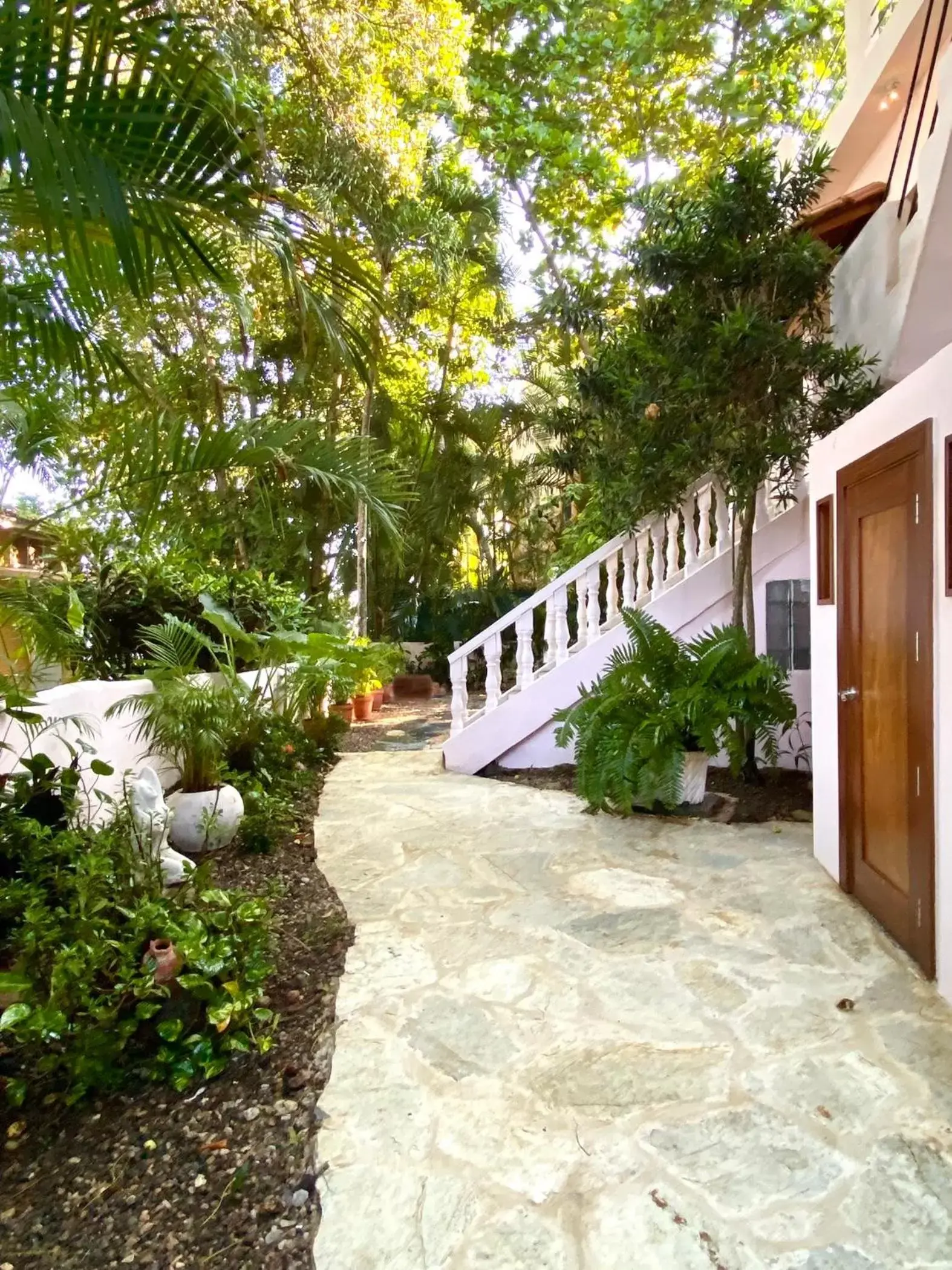 Garden in Hotel Alegria