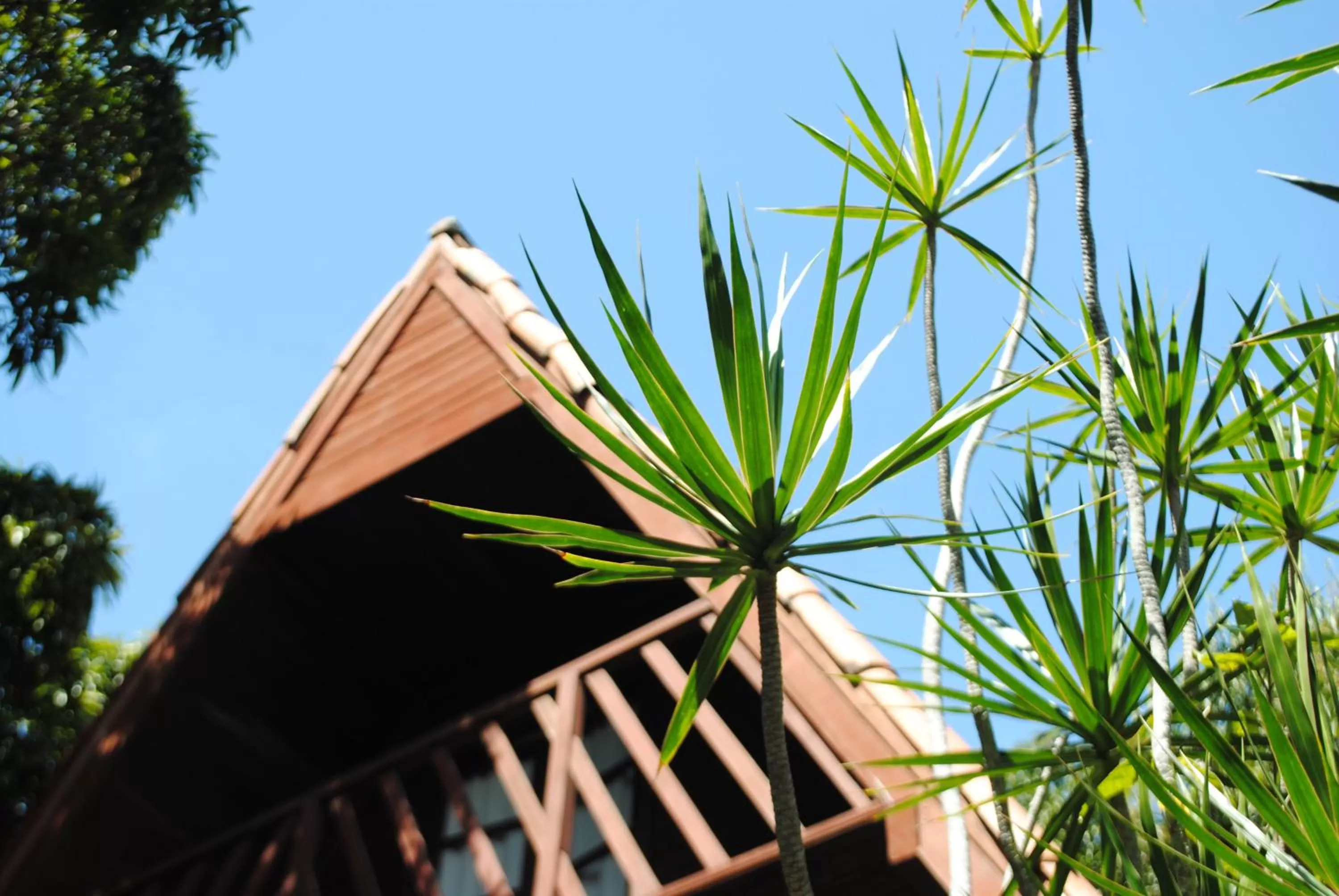 Day in Chalet Suisse