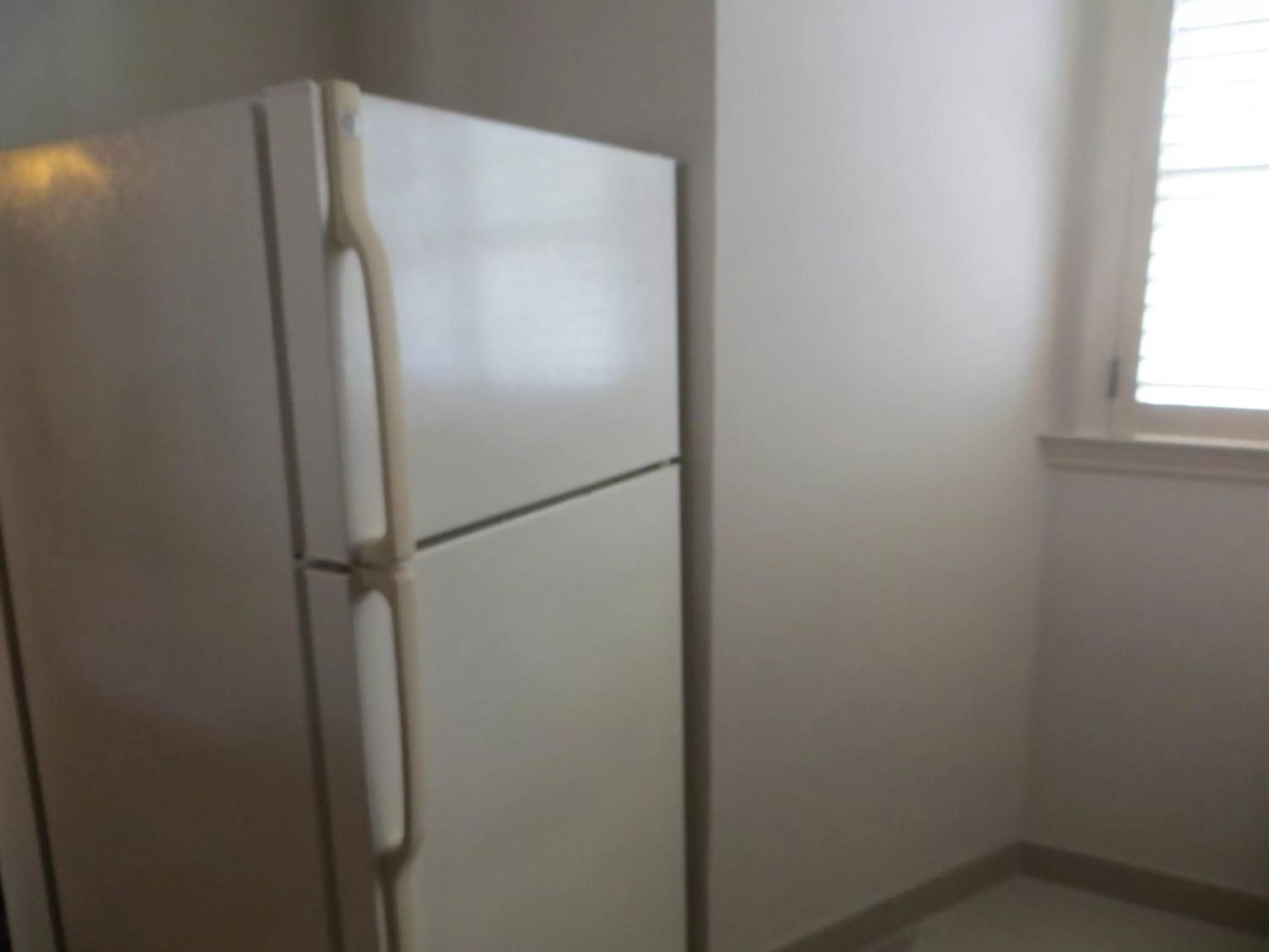 Kitchen or kitchenette in Cow Hollow Inn and Suites