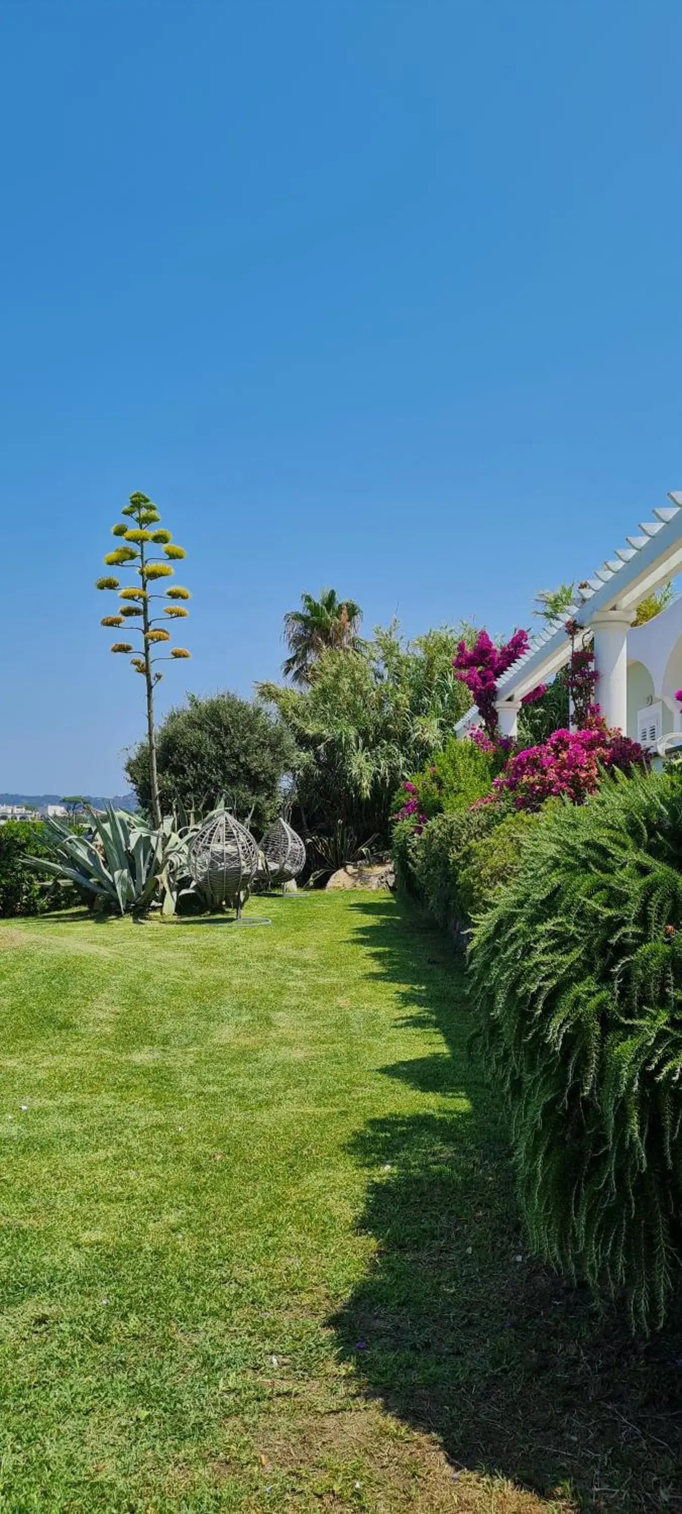 Garden in Hotel Albatros