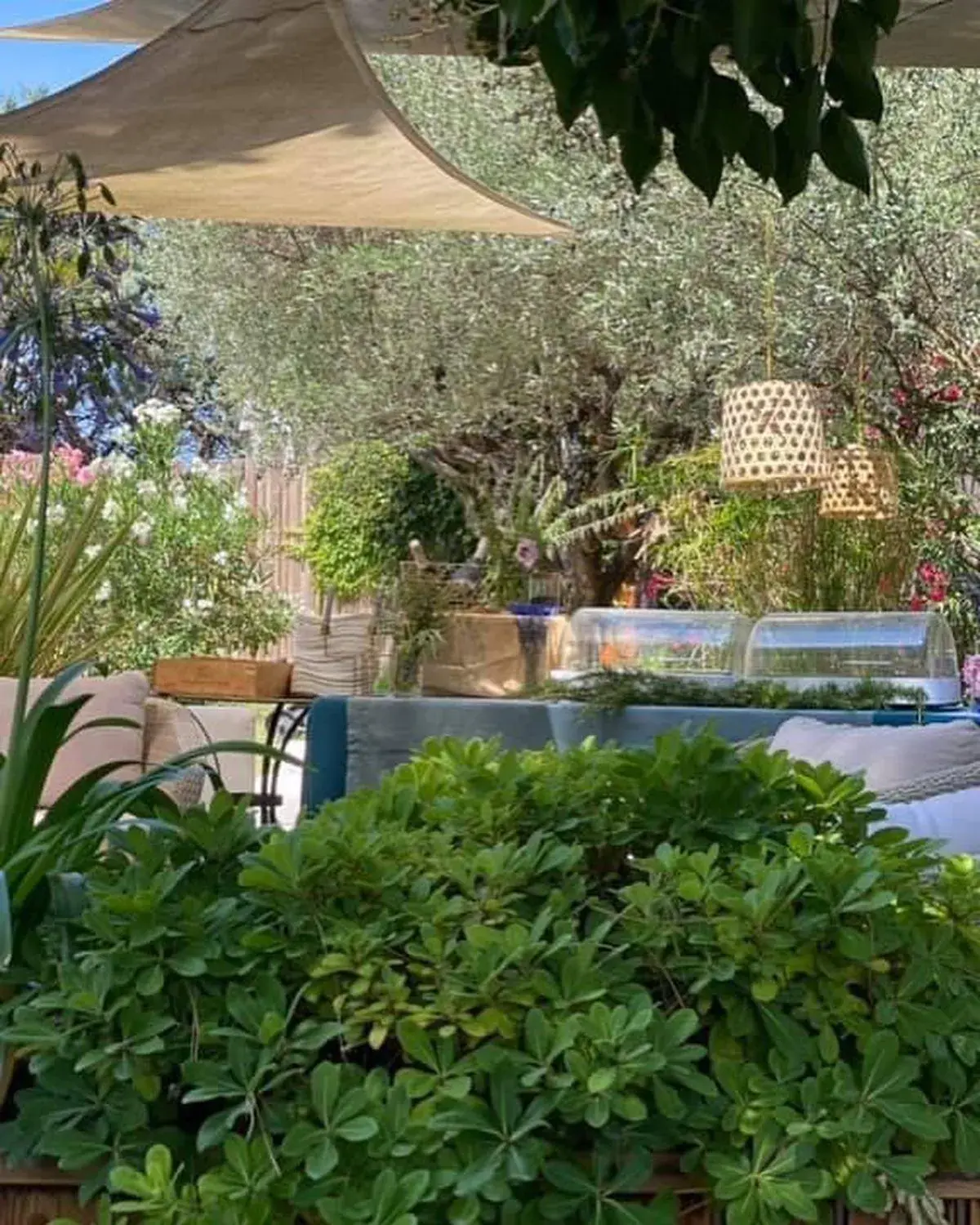 Garden, Swimming Pool in Best Western Sevan Parc Hotel