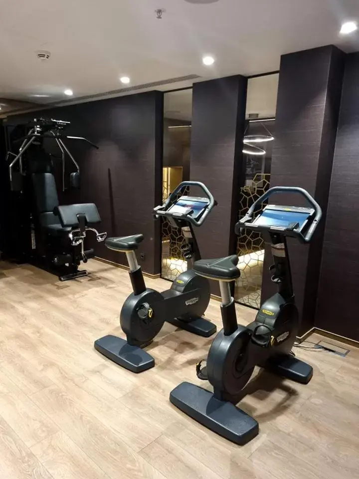 Fitness Center/Facilities in InterContinental Sofia, an IHG Hotel