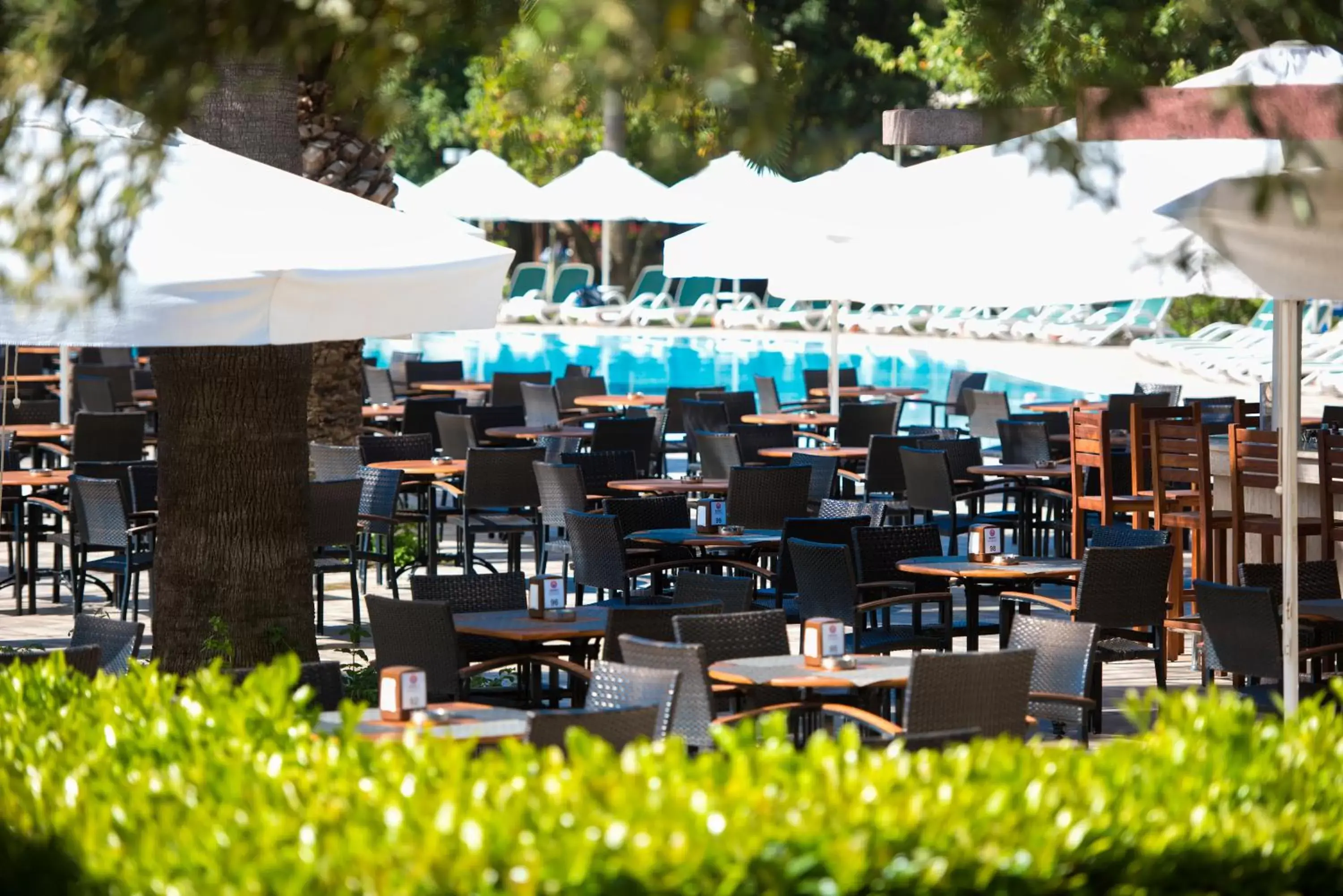 Restaurant/places to eat in Barut Hemera - Ultra All Inclusive Restaurant/places to eat in Barut Hemera - Ultra All Inclusive