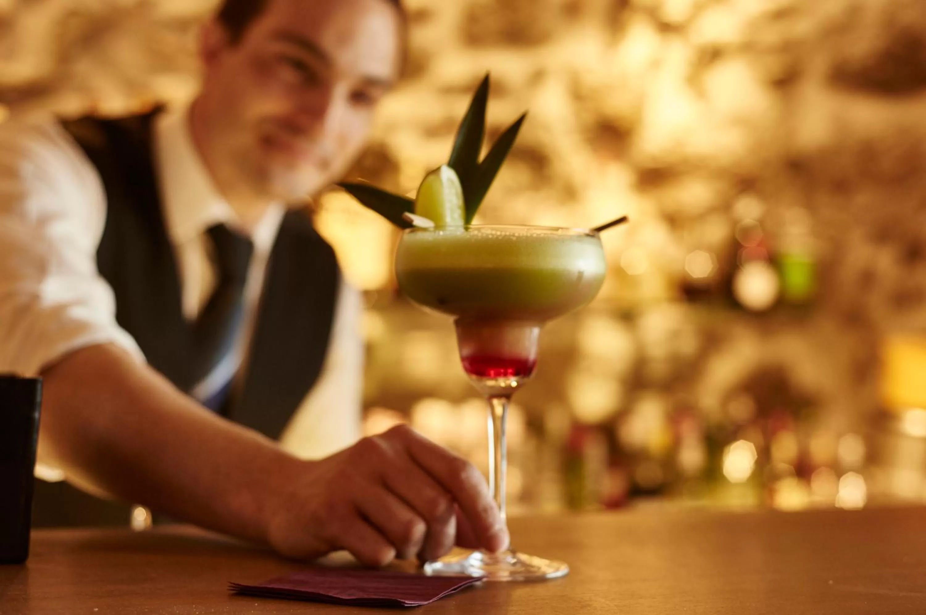 Alcoholic drinks, Food in Welcome Hotel