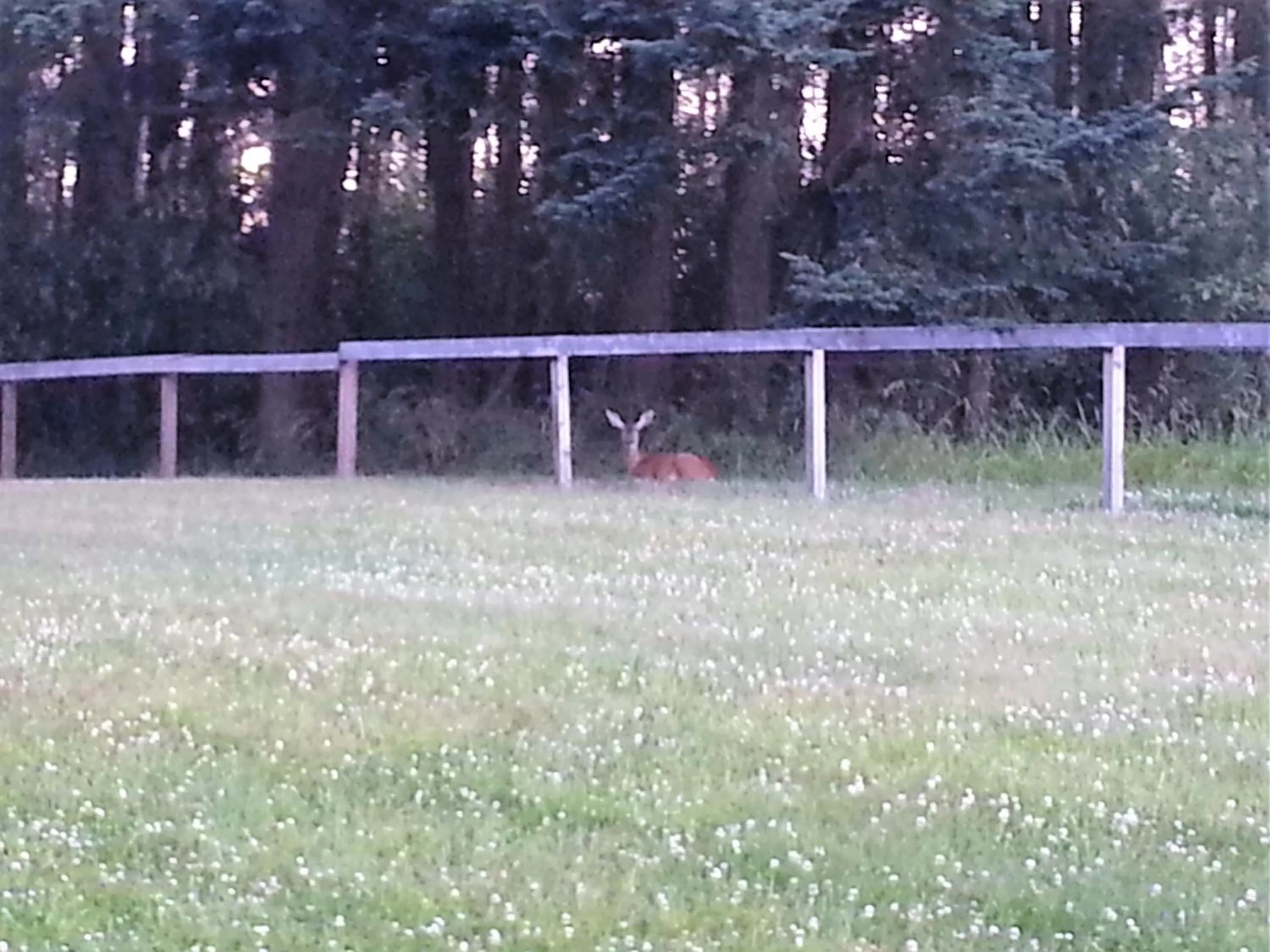 Natural landscape in Wildwood Farm Bed & Breakfast