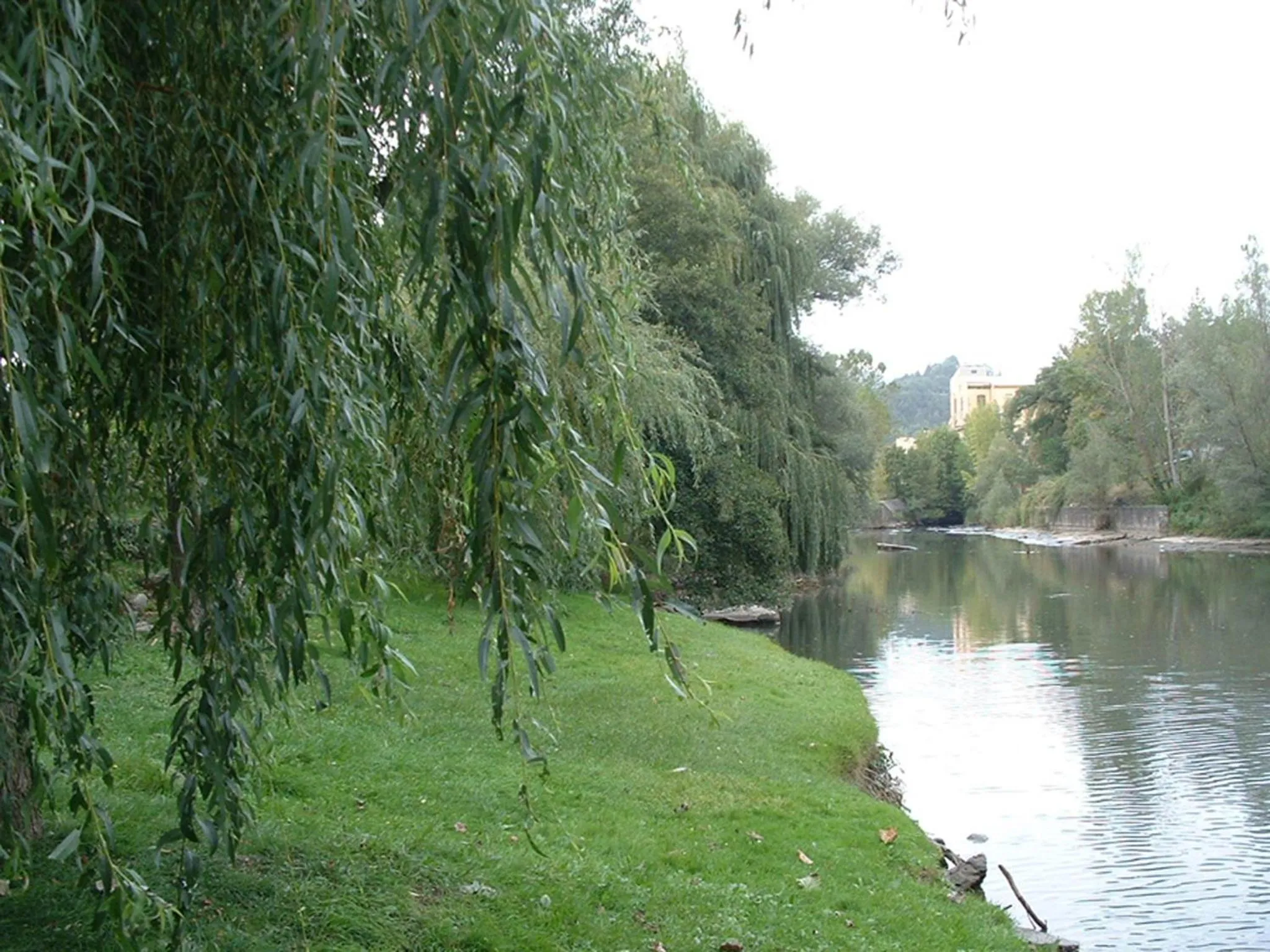 Area and facilities in Hotel Sant Quirze De Besora