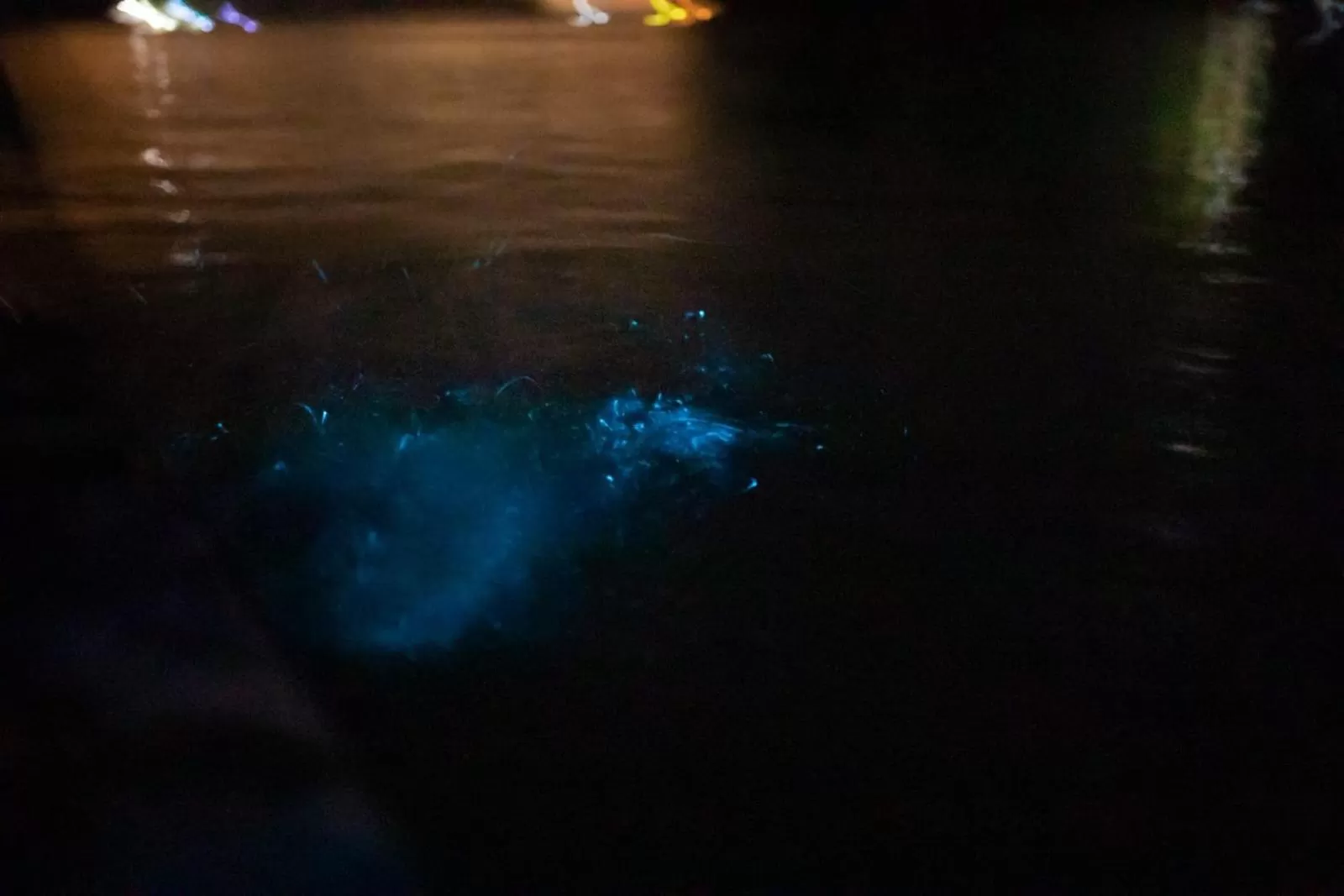 El Gecko Hotel & Tours