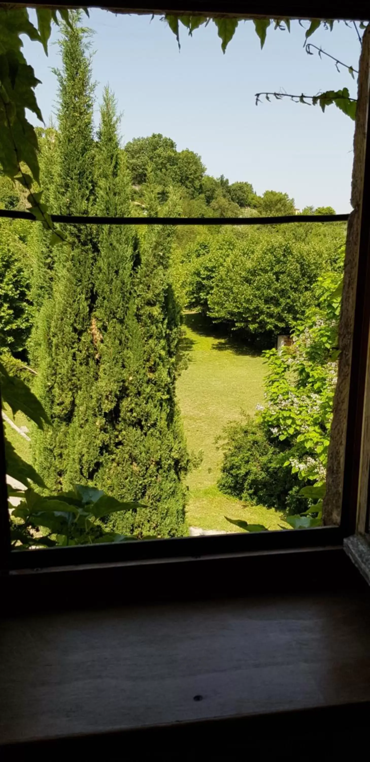 Garden view in Le Moulin D'onclaire Camping et chambres d'hôtes