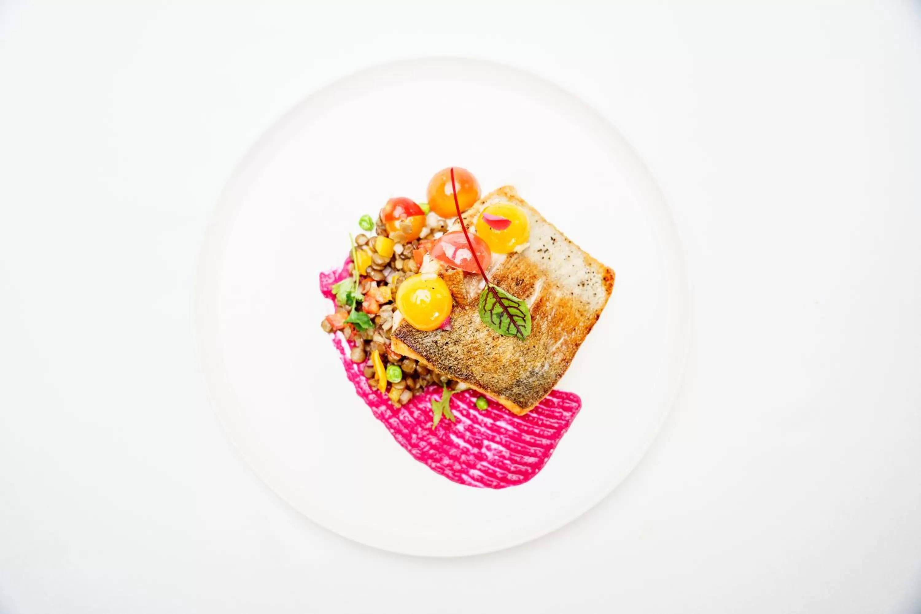 Food in Nomi Community