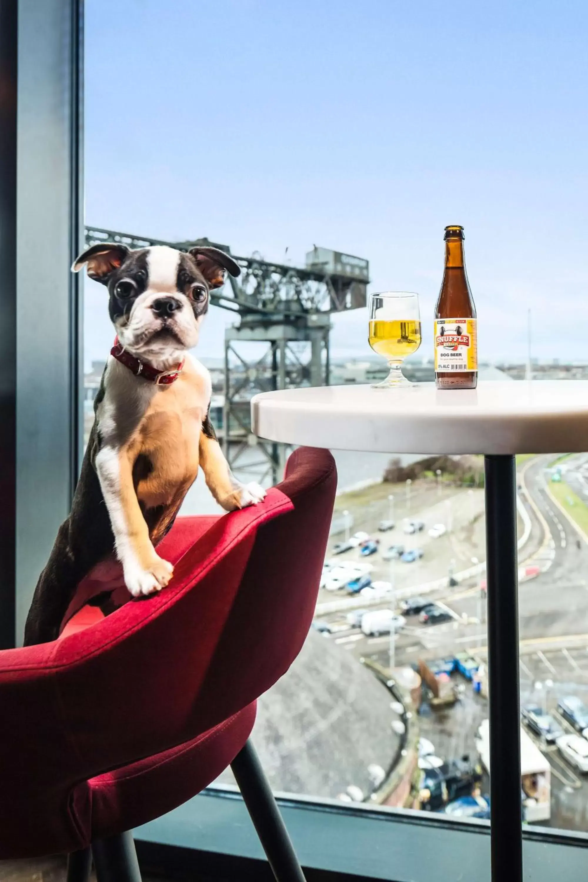 Lounge or bar, Pets in Radisson RED Hotel, Glasgow