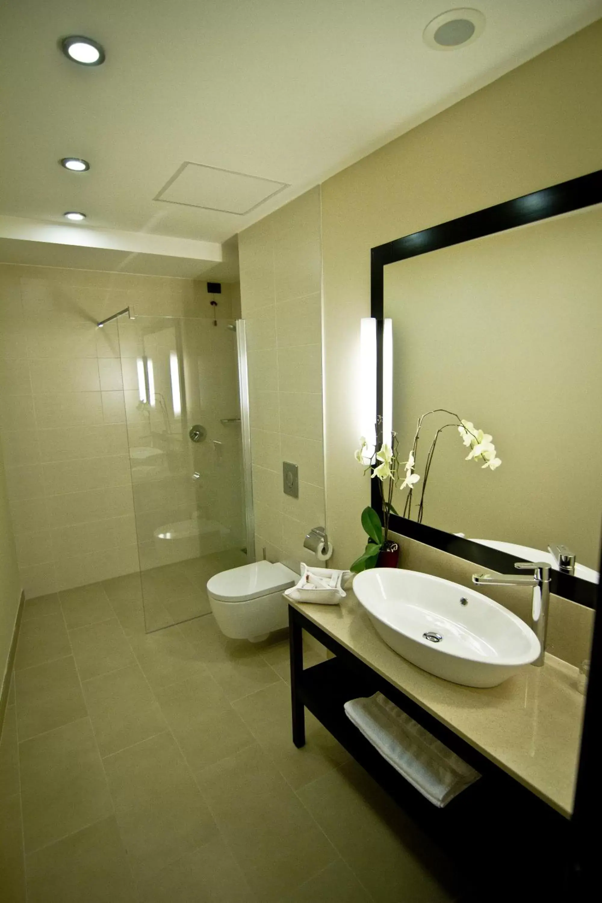 Shower, Bathroom in Hotel Timisoara