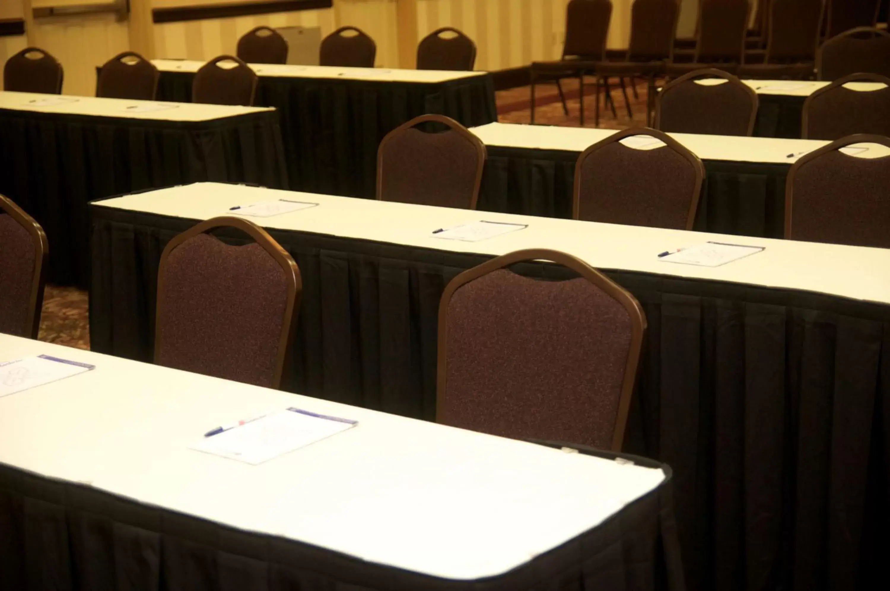 Meeting/conference room, Business Area/Conference Room in Hilton Garden Inn New Braunfels