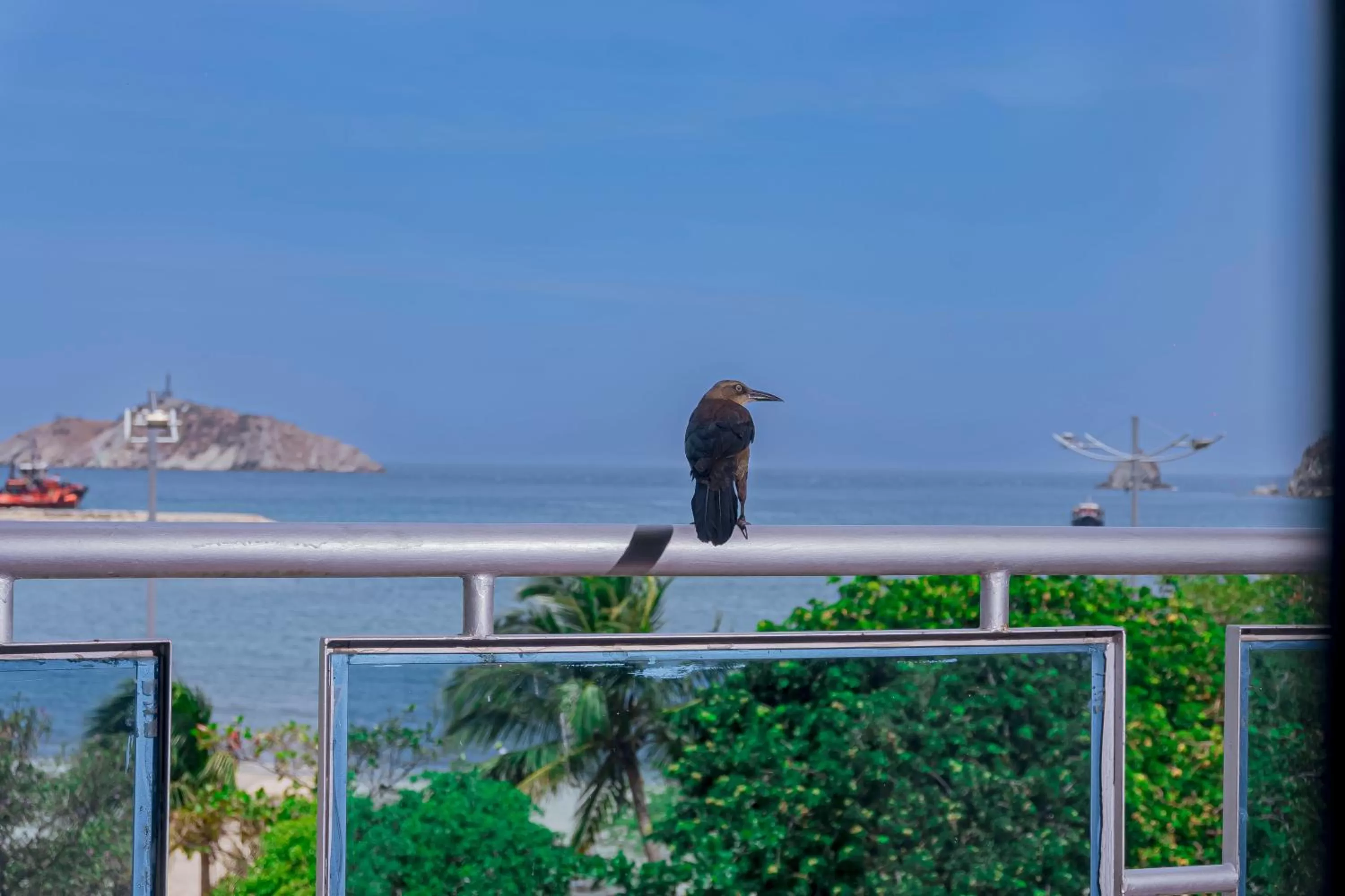 Day in HOTEL SOL INN SANTA Marta