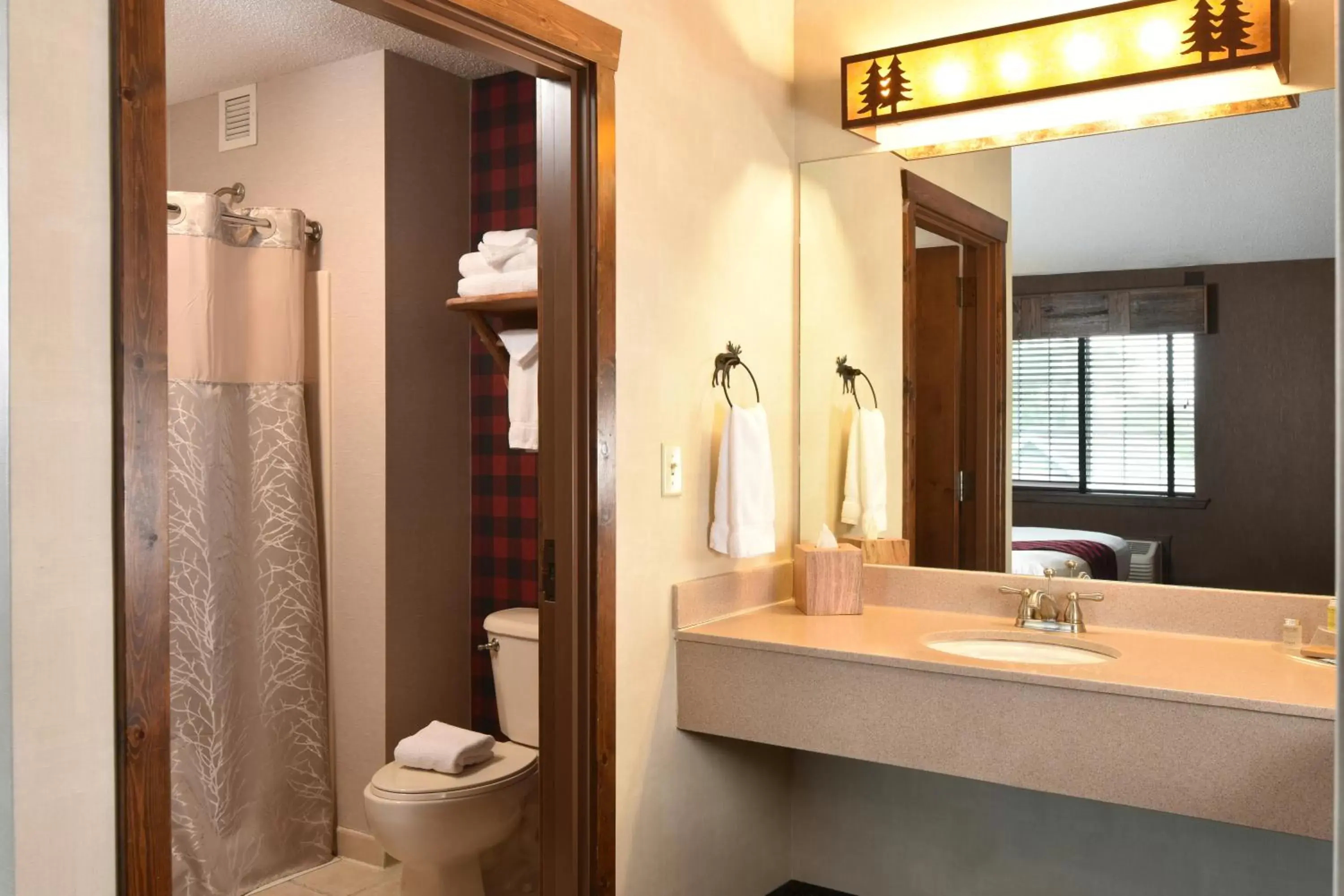 Toilet, Bathroom in Stoney Creek Hotel Des Moines - Johnston