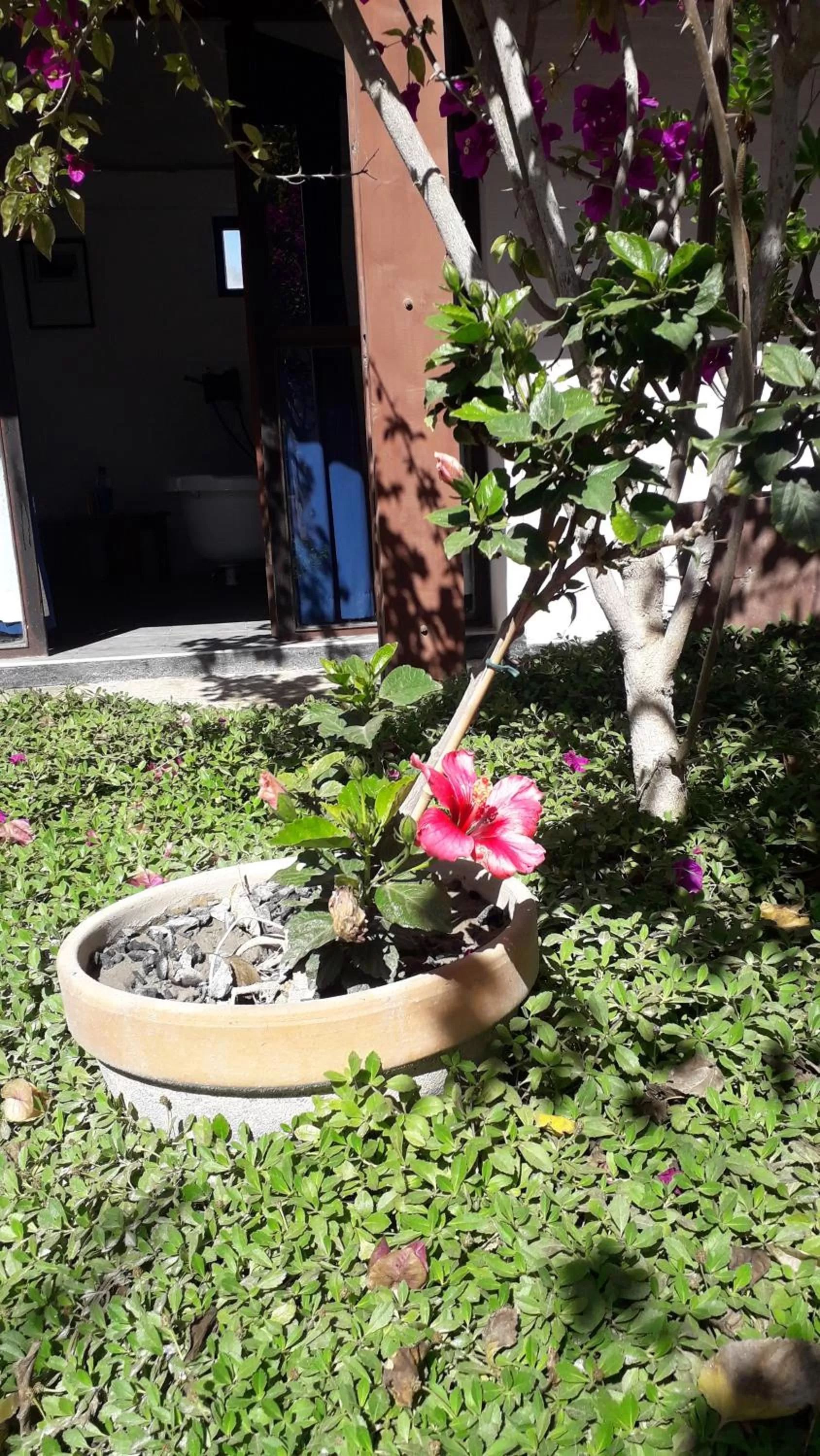 Alternative Space B & B