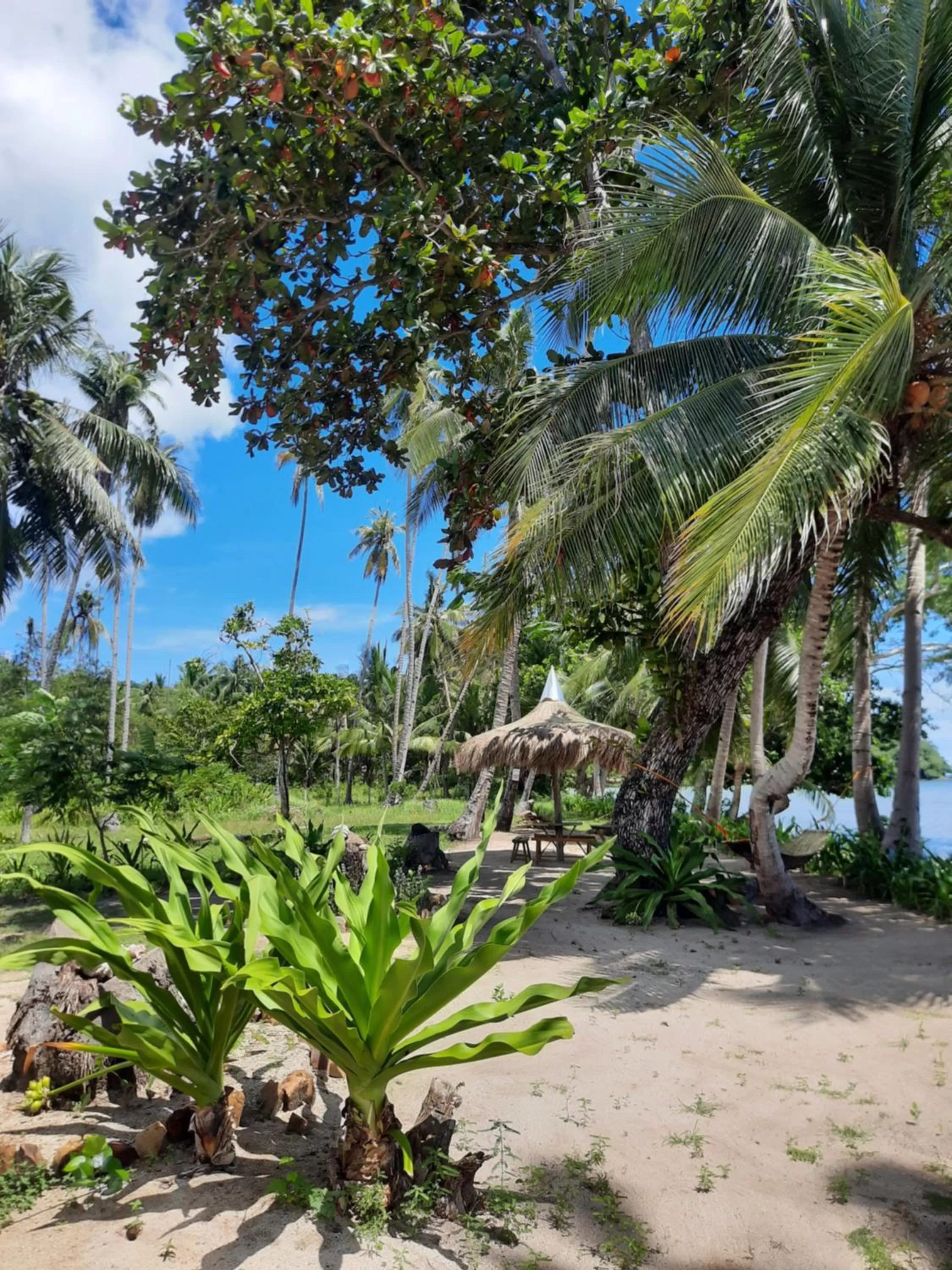 Garden in Eastwind Beach Club- El Nido