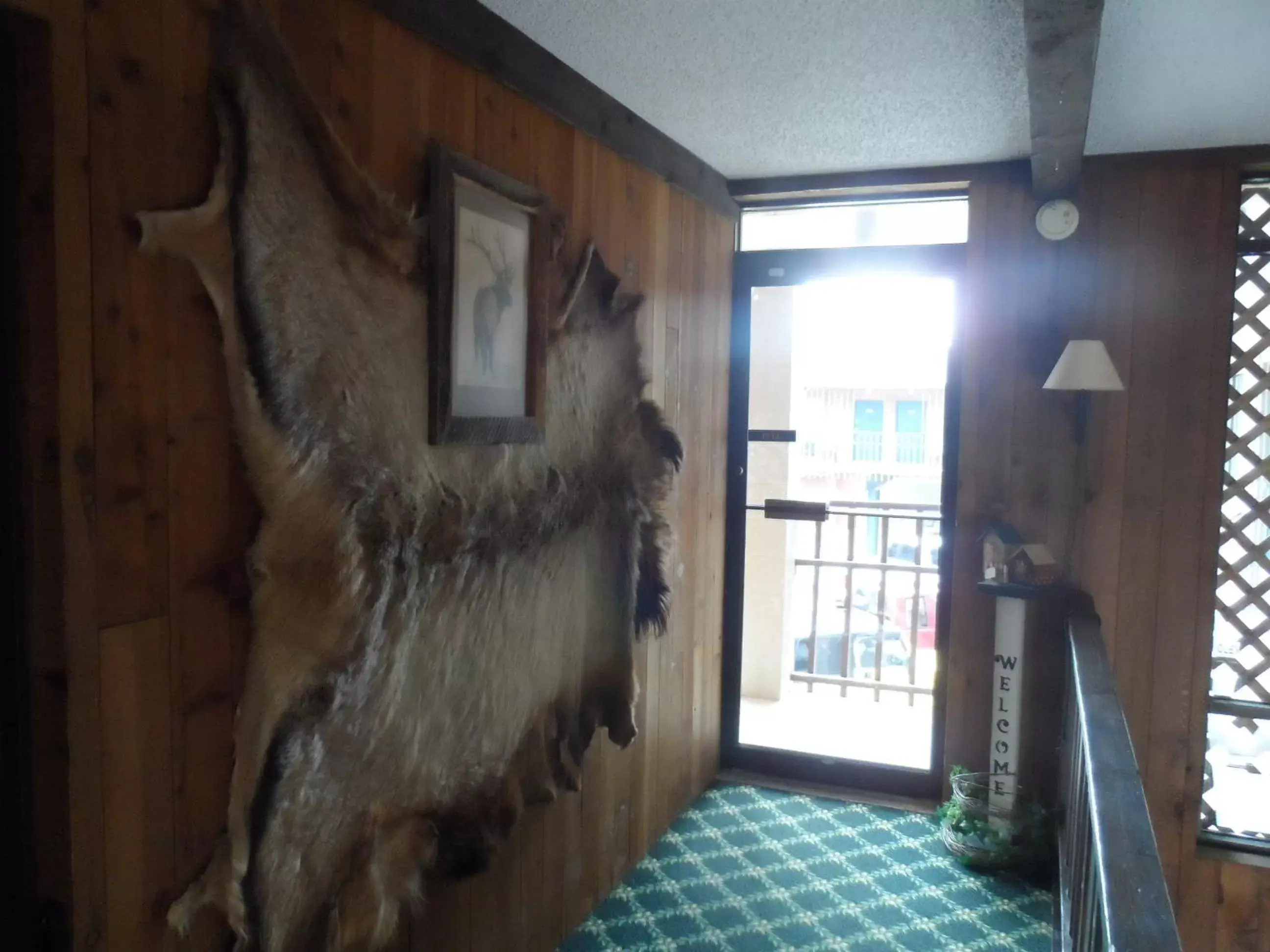 Lobby or reception in Bear Lodge Motel