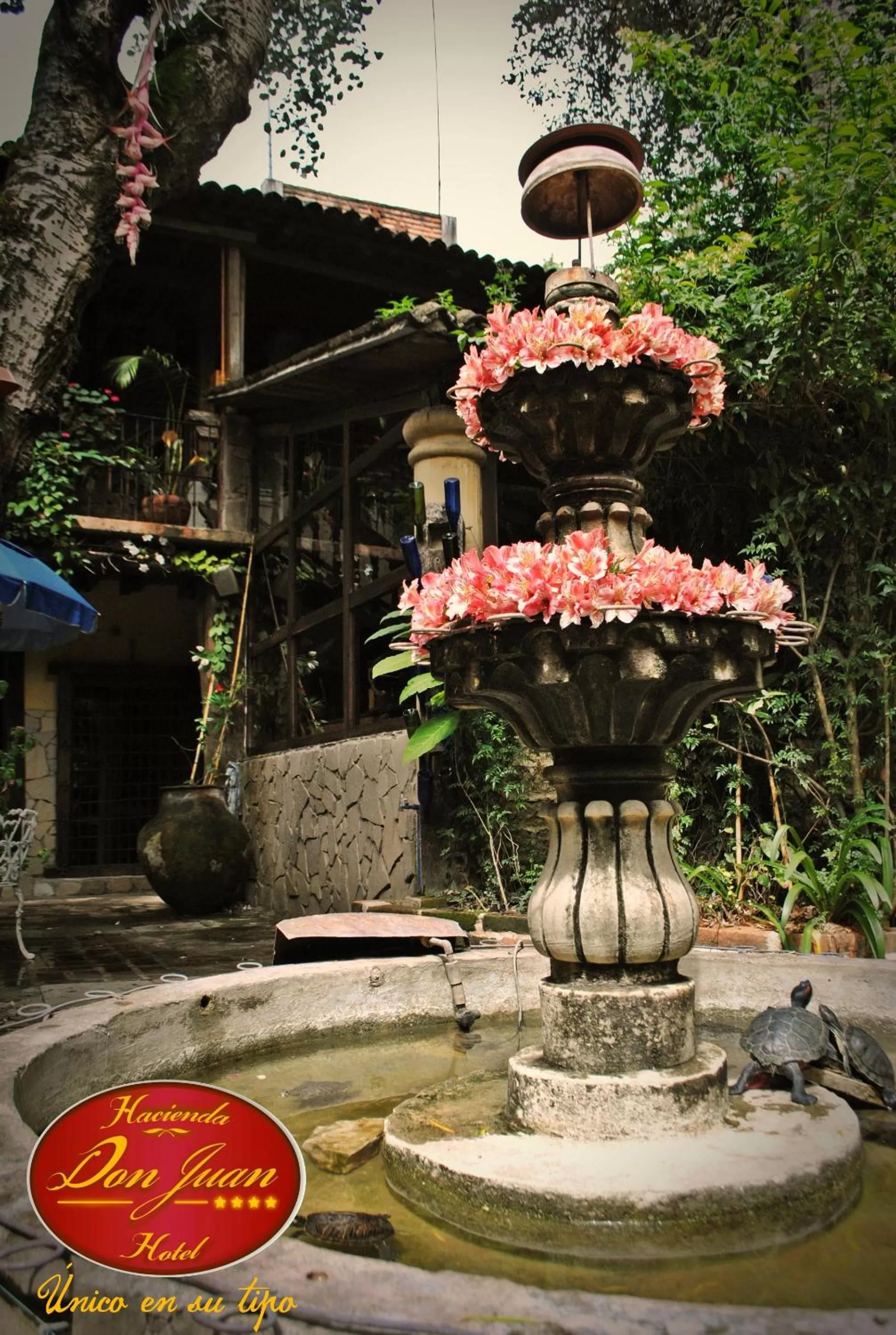 Garden in Hotel Hacienda Don Juan