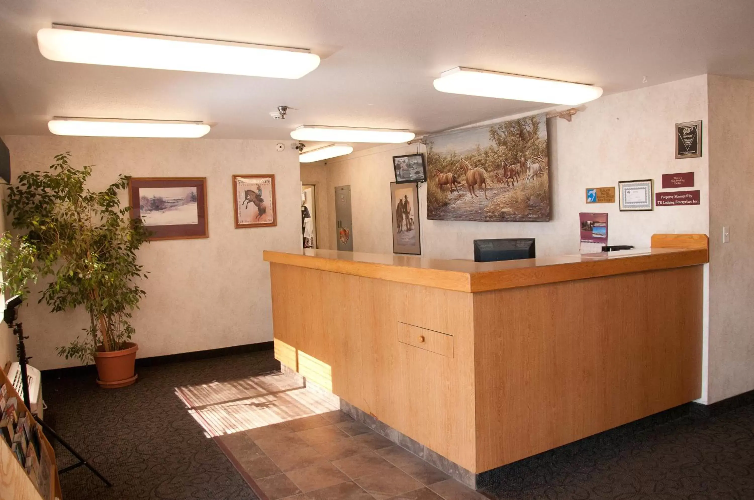 Lobby or reception in Baymont by Wyndham Elko Lobby or reception in Baymont by Wyndham Elko