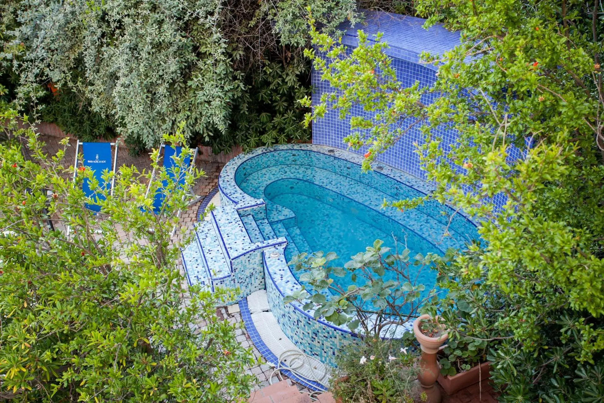 Garden, Pool View in Grand Hotel De Rose