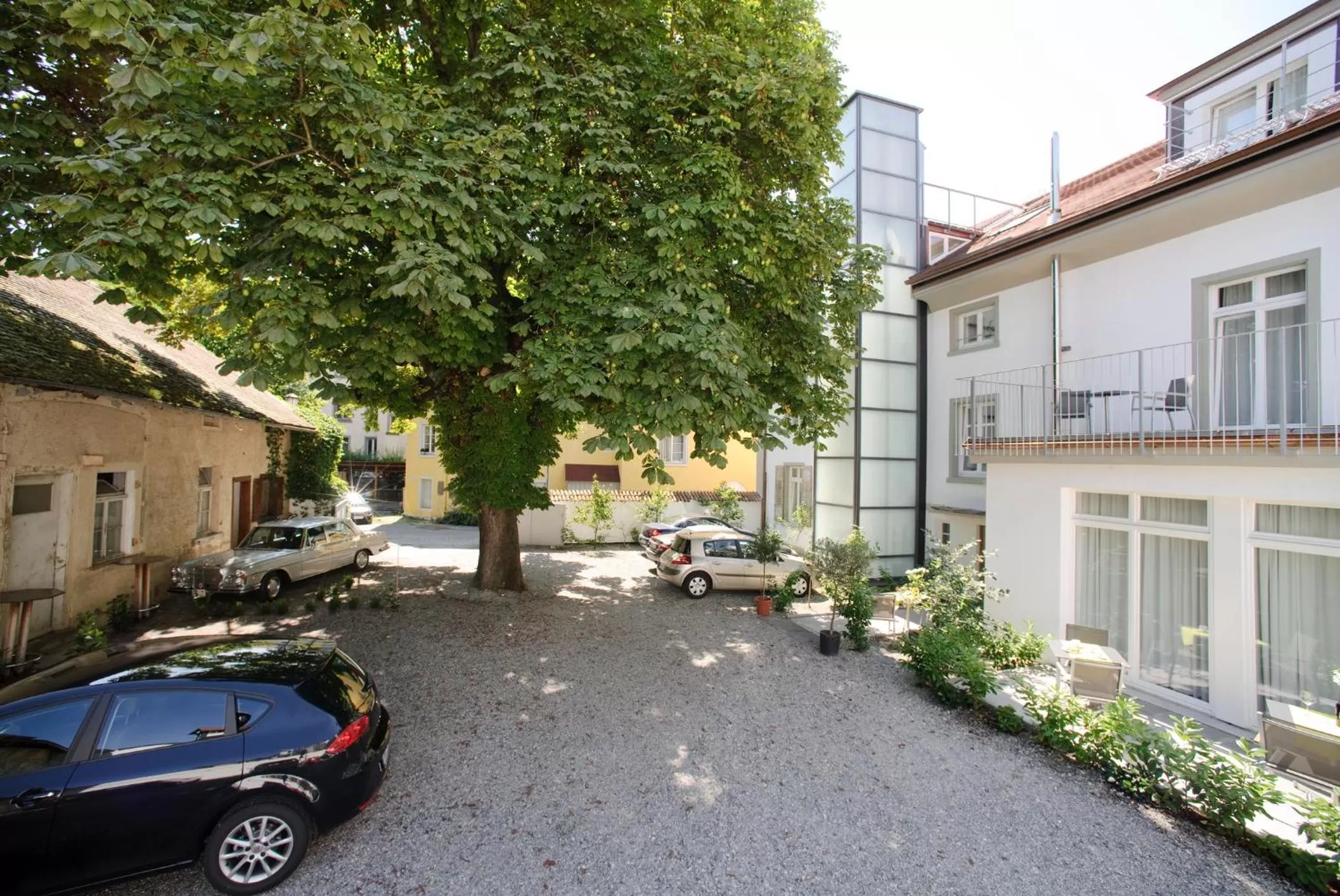 Garden in Hotel Constantia