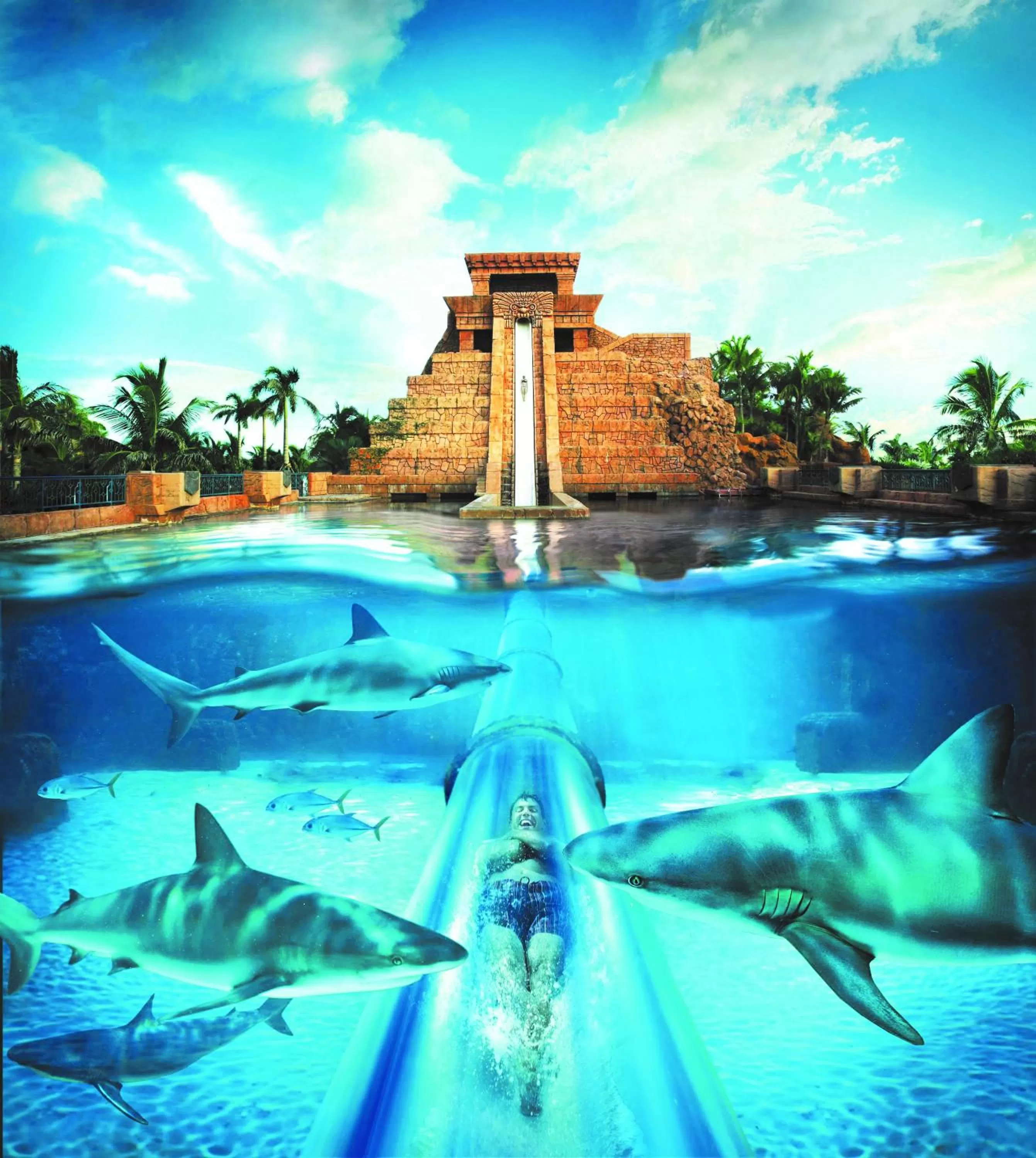 Activities in Comfort Suites Paradise Island