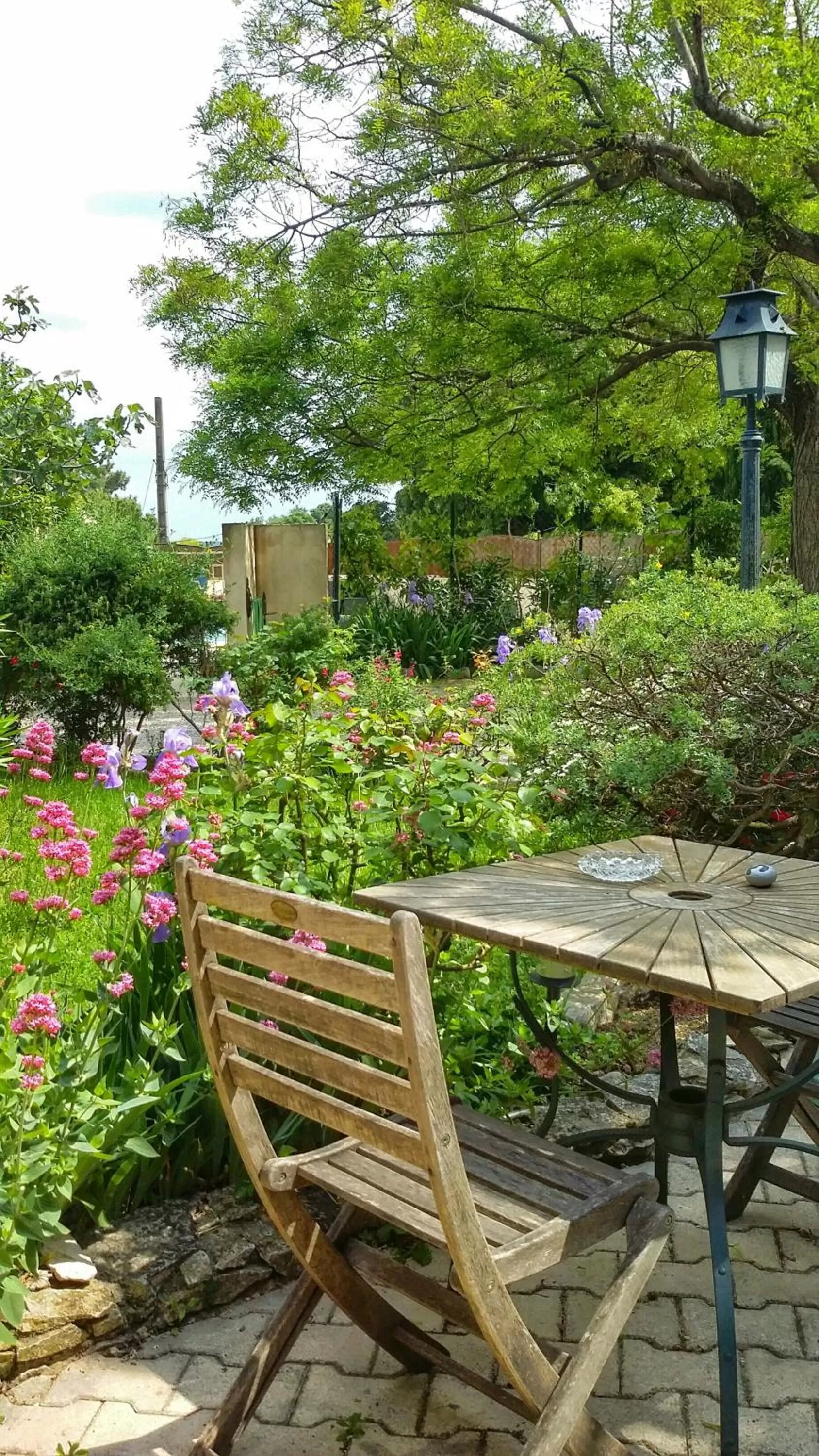 Garden in Logis Auberge De Tavel