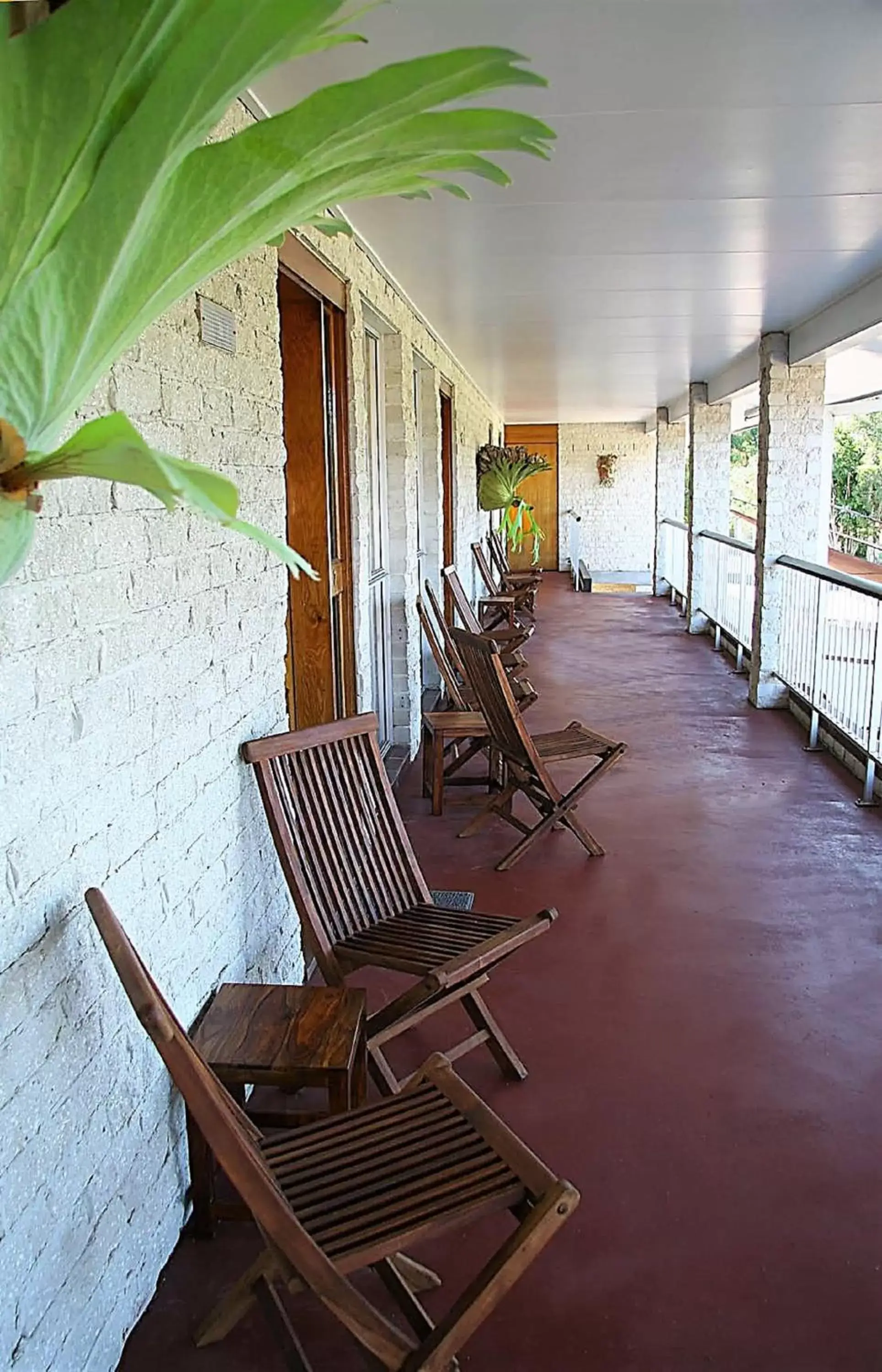 Balcony/Terrace in Avlon Gardens Motel