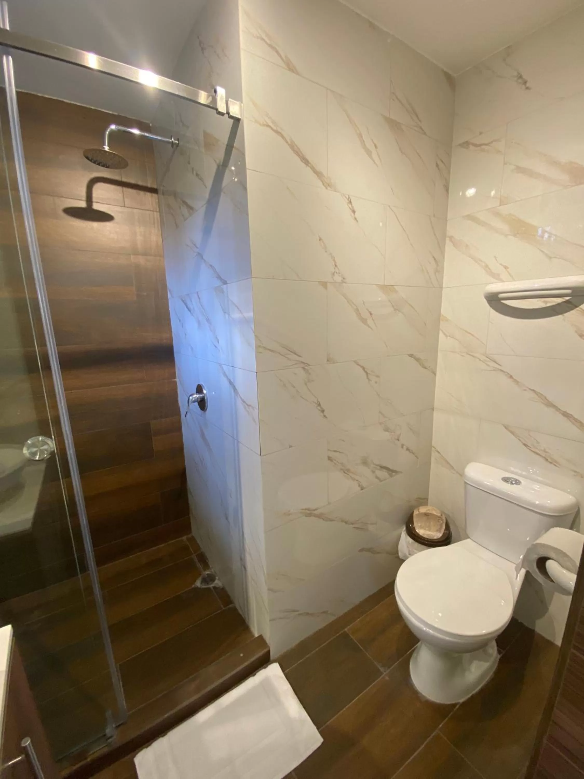 Shower in Hotel Sada