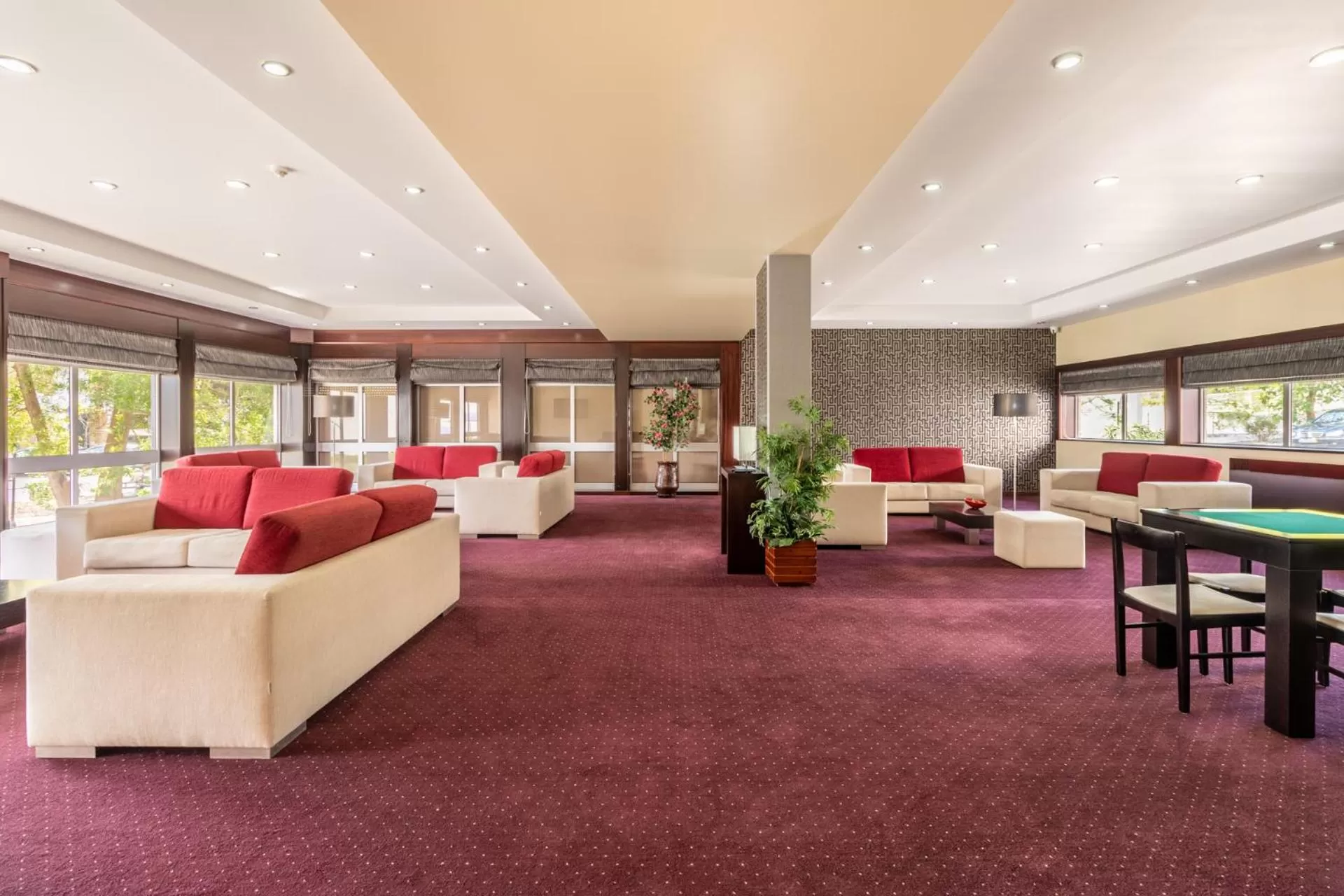 Communal lounge/ TV room in Hotel Colmeia