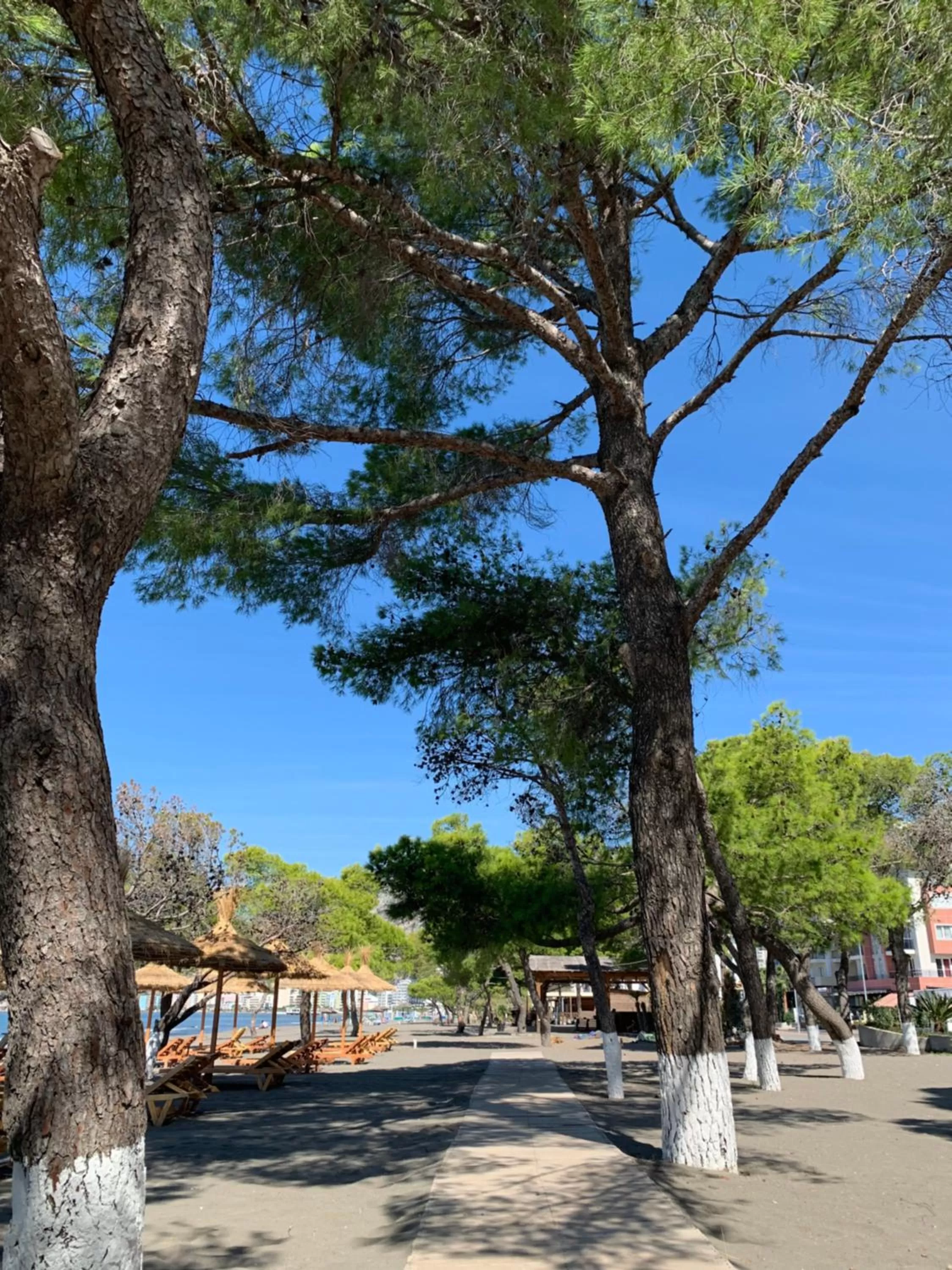 Beach in Amare Hotel