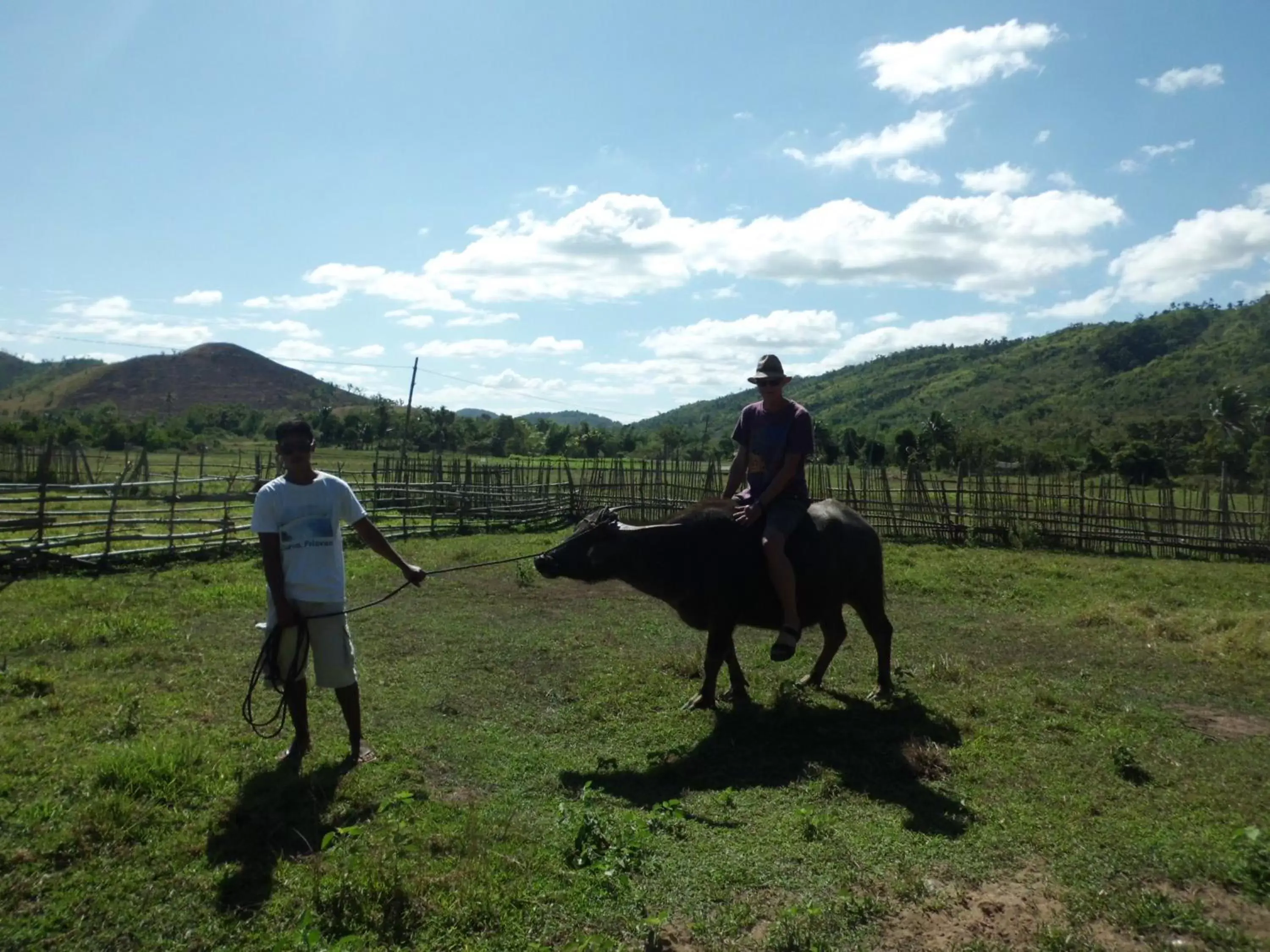 Animals, Horseback Riding in The Riverhouse