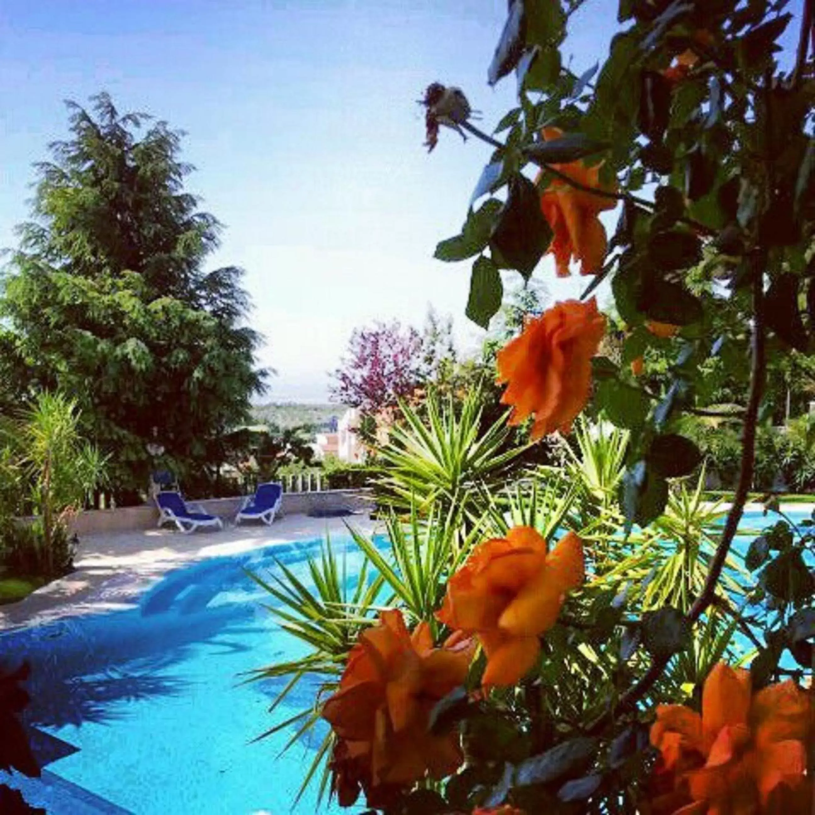 Garden, Swimming Pool in Grand Hotel degli Angeli