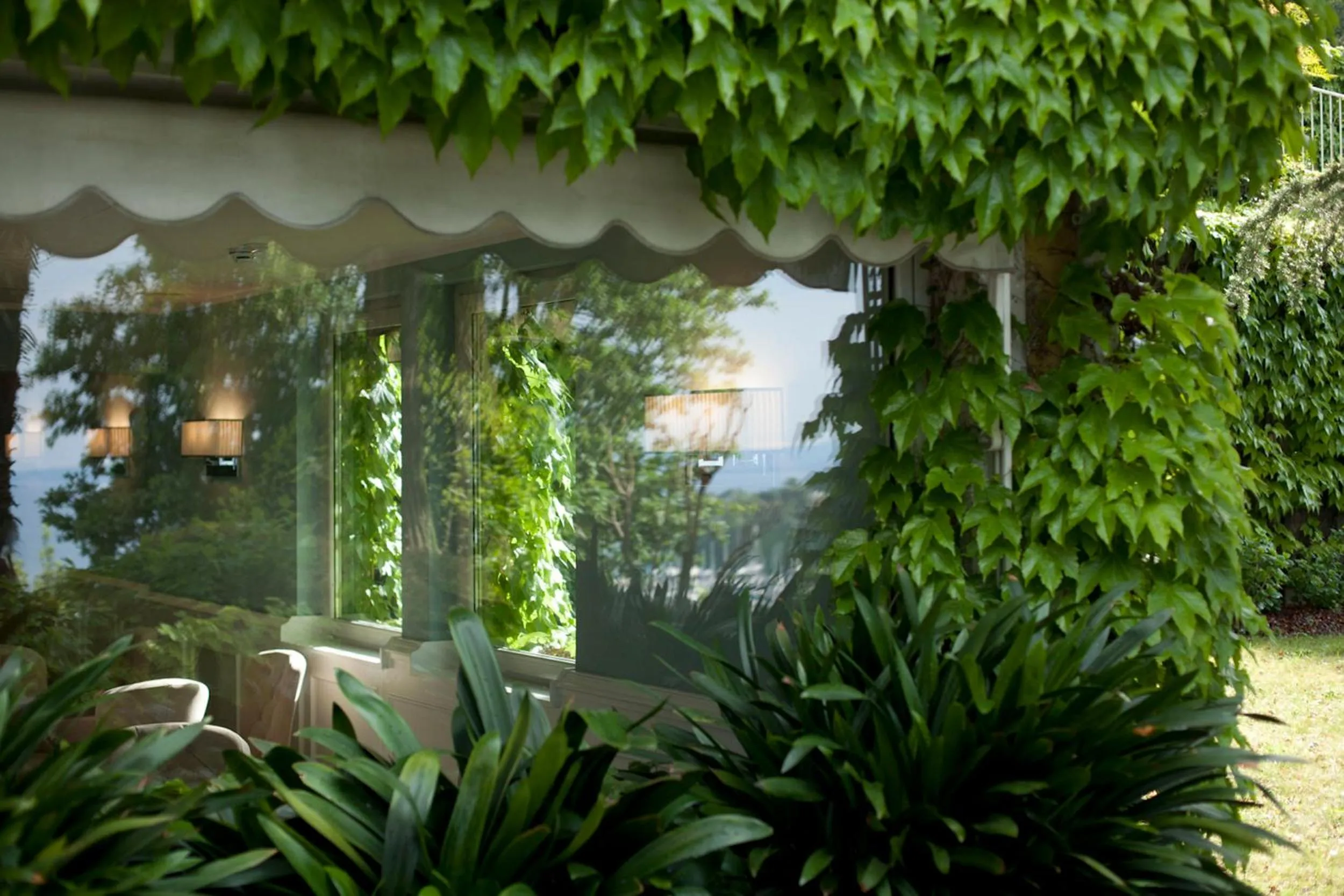 Garden in Hotel Riviera & Maximilian's