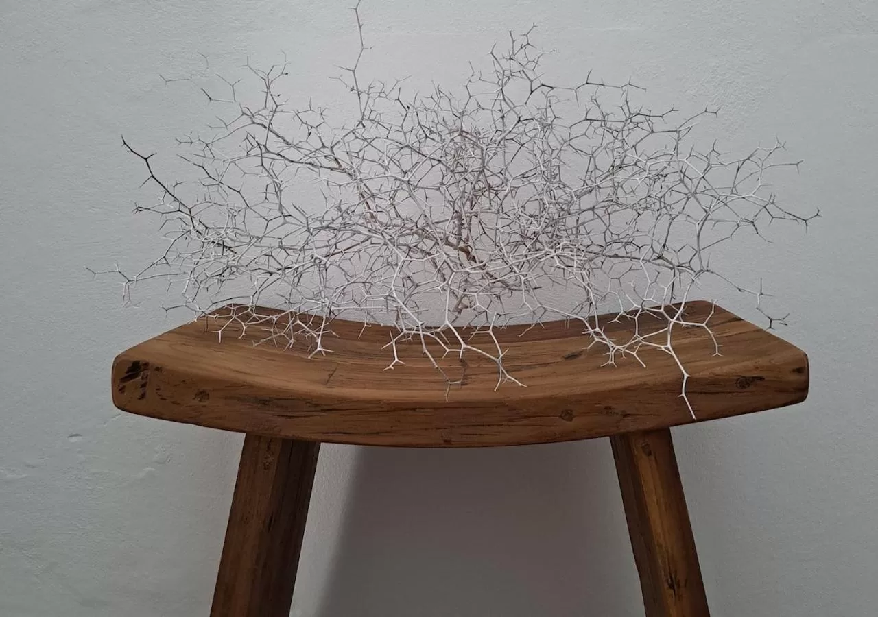 Decorative detail in Casa de las Flores - Hotel Boutique Lanzarote